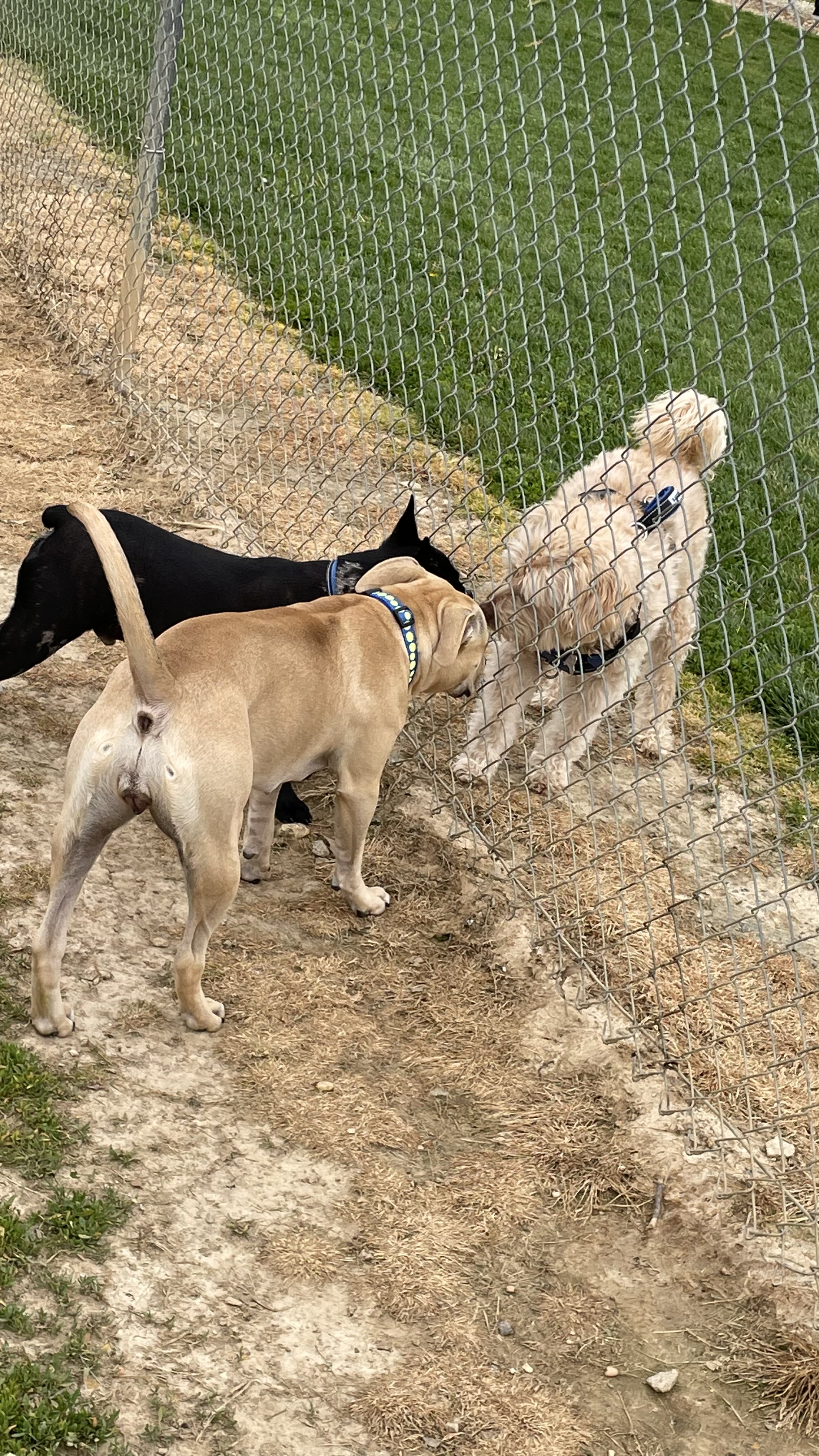 Charles E. Price Memorial Park