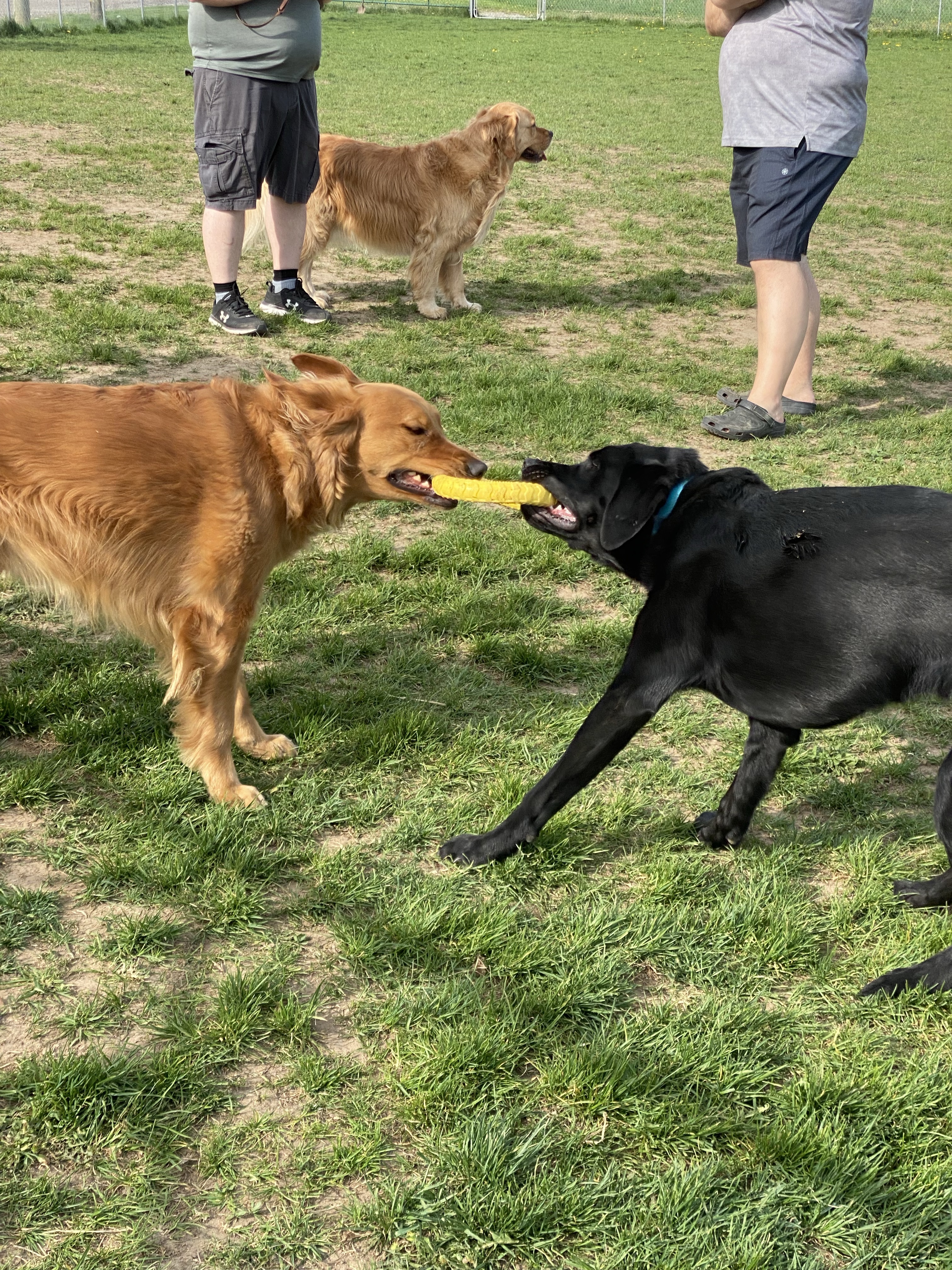 Heritage Pet & Garden