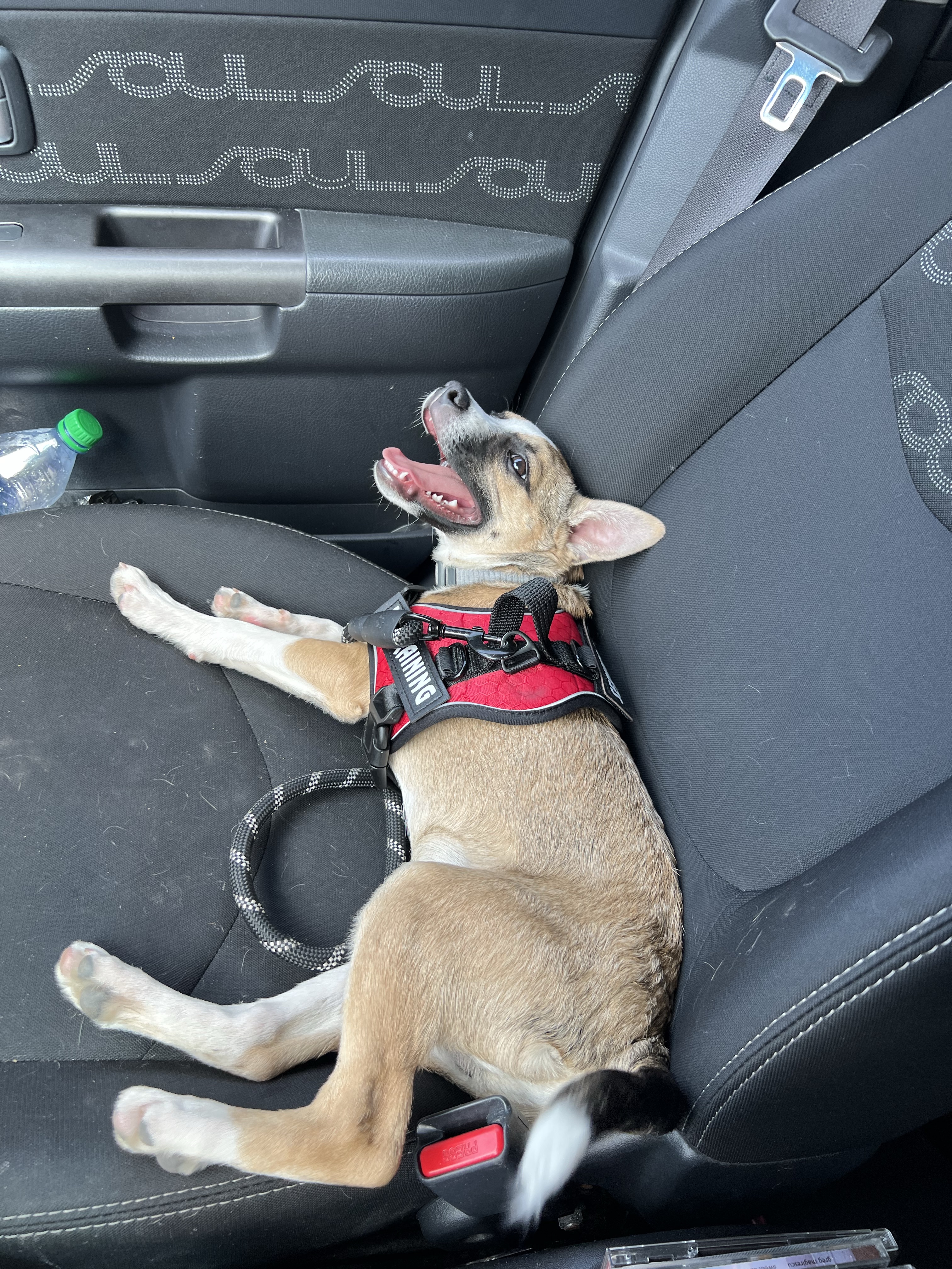 Harmony Valley Conservation Area & Off-Leash Dog Park