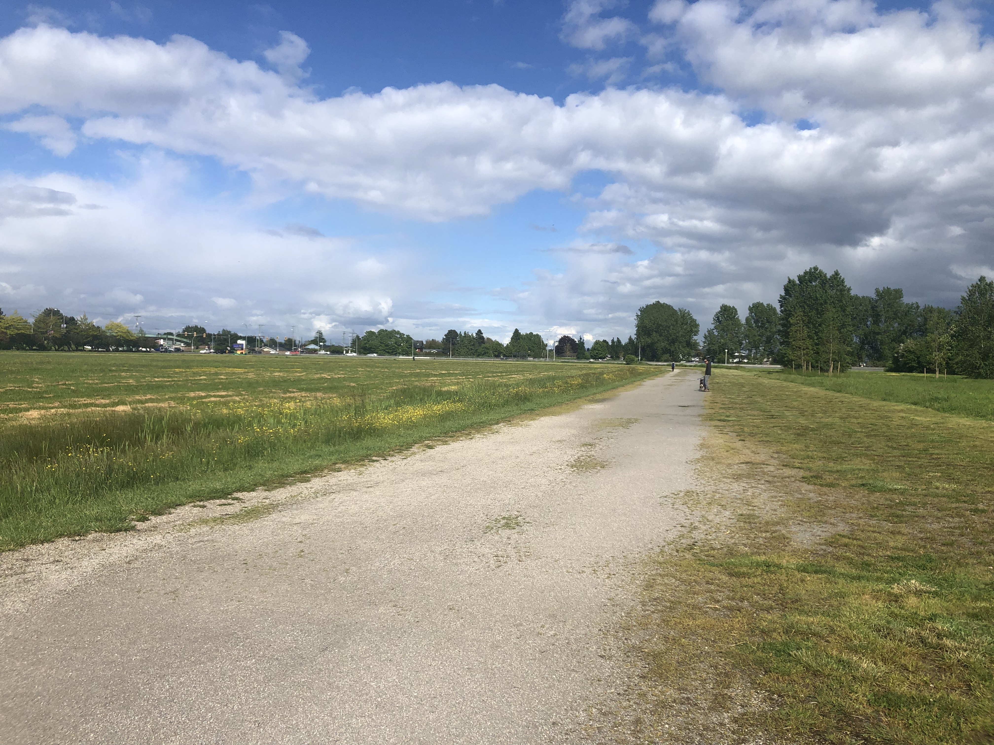 Paterson Park – Off-leash Dog Park