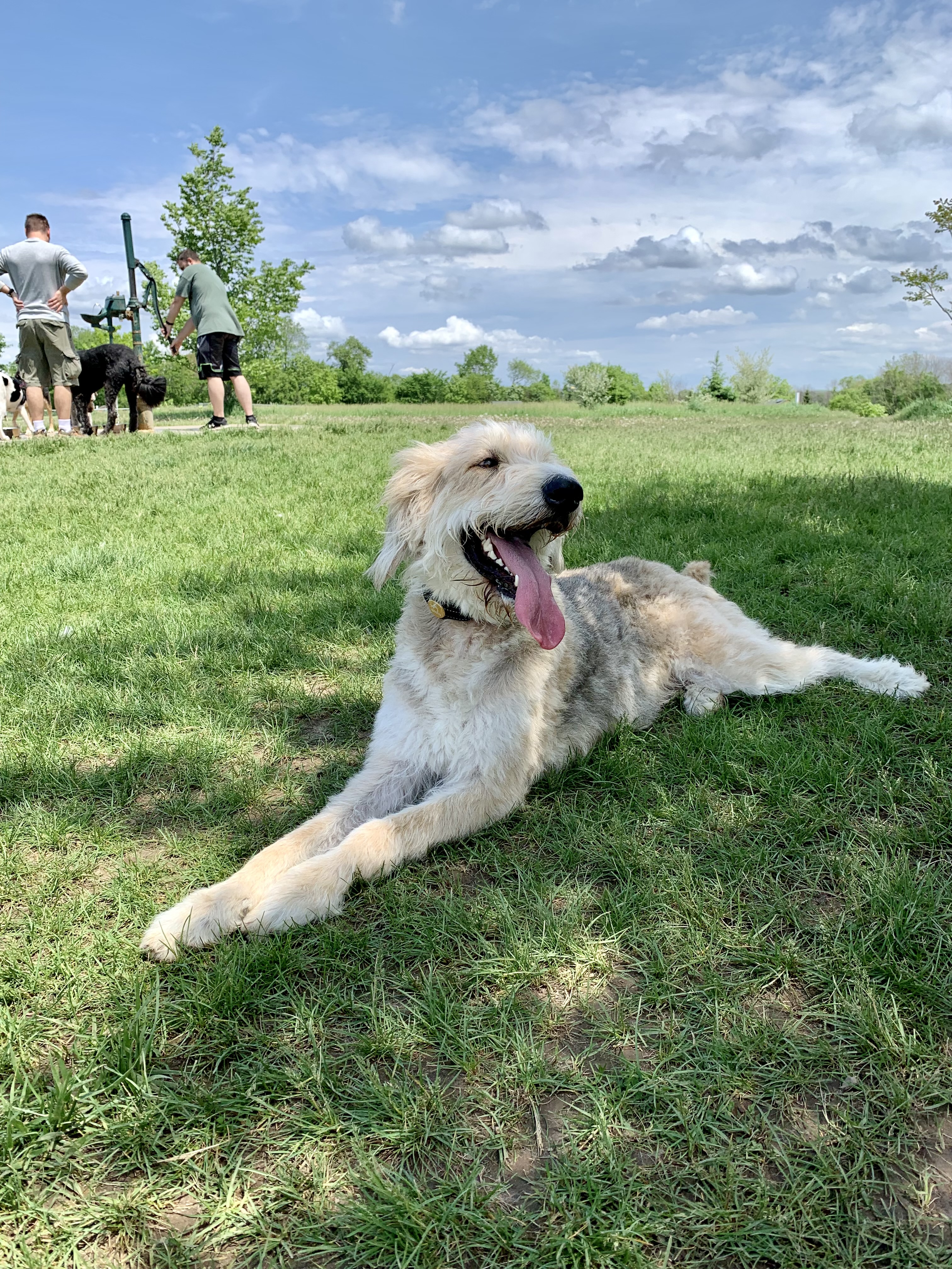 Jefferson County Dog Park