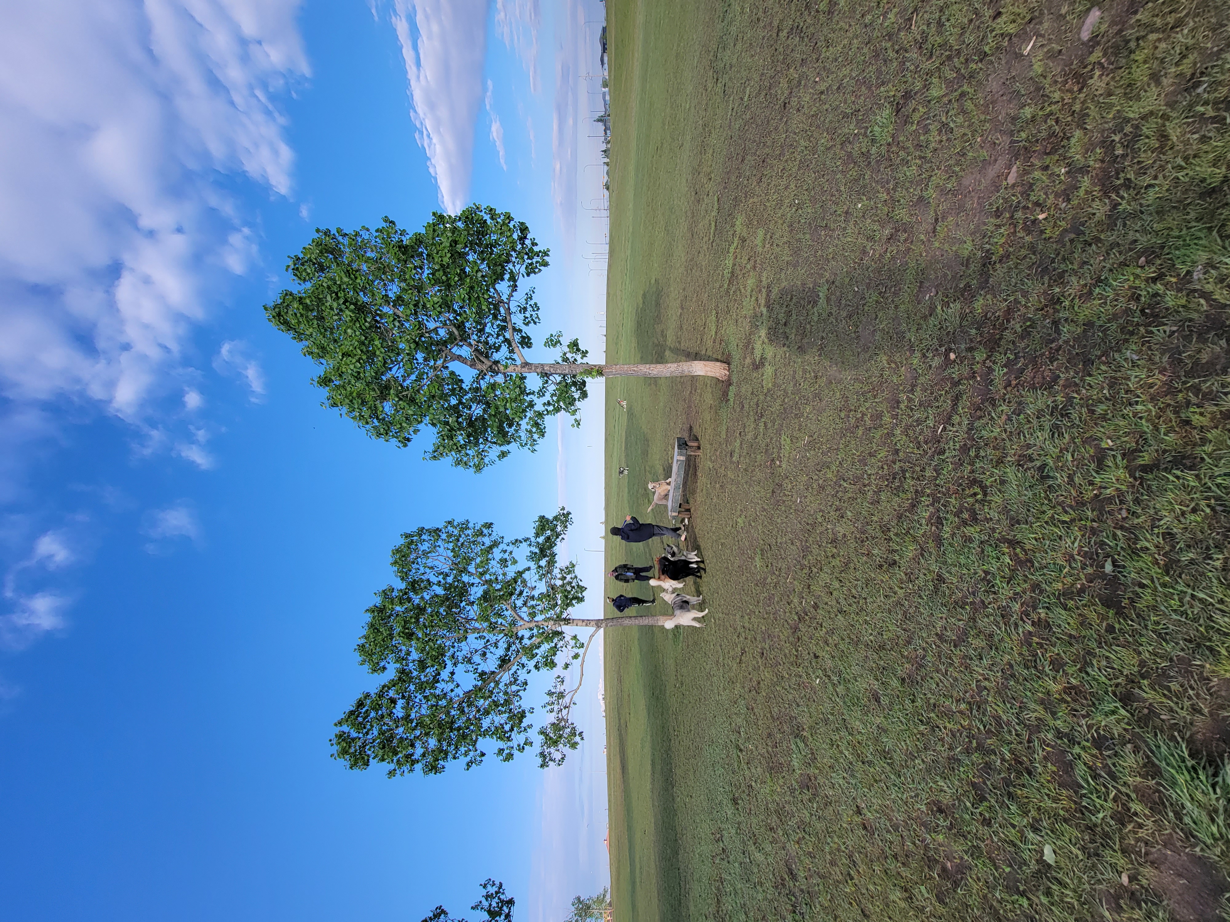 Mcknight/Falconridge Dog Park