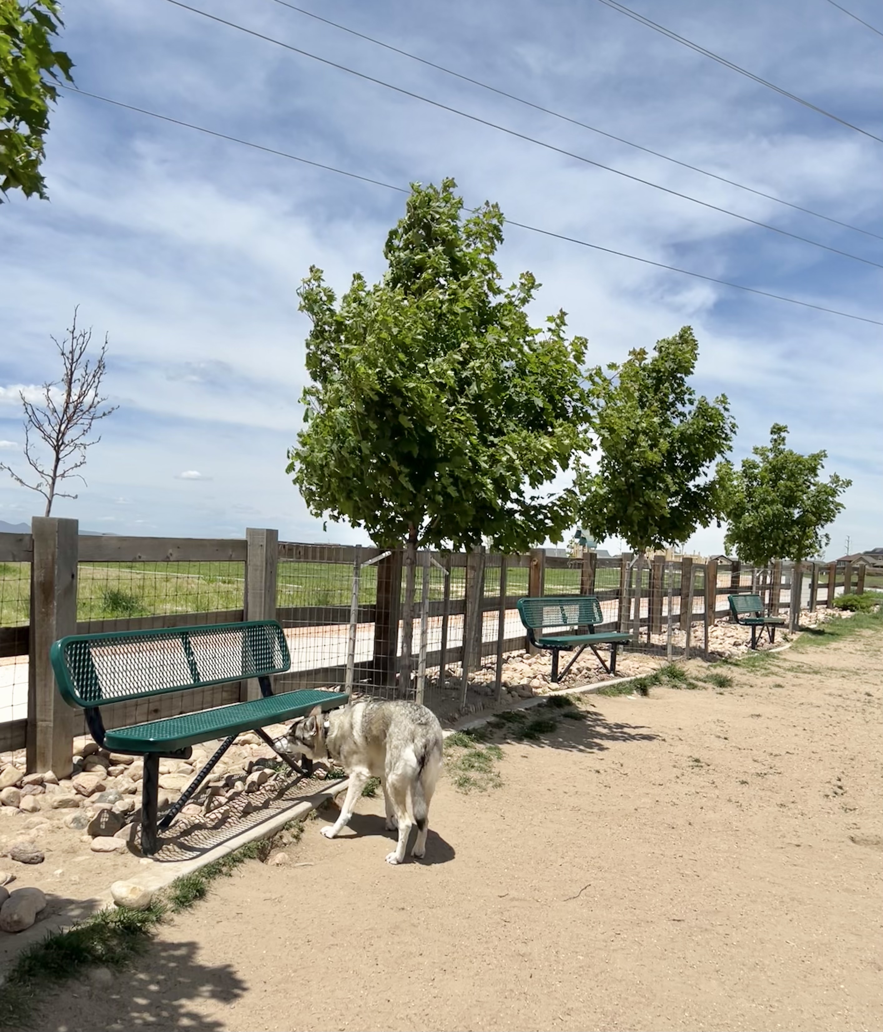 Vista Dog Park