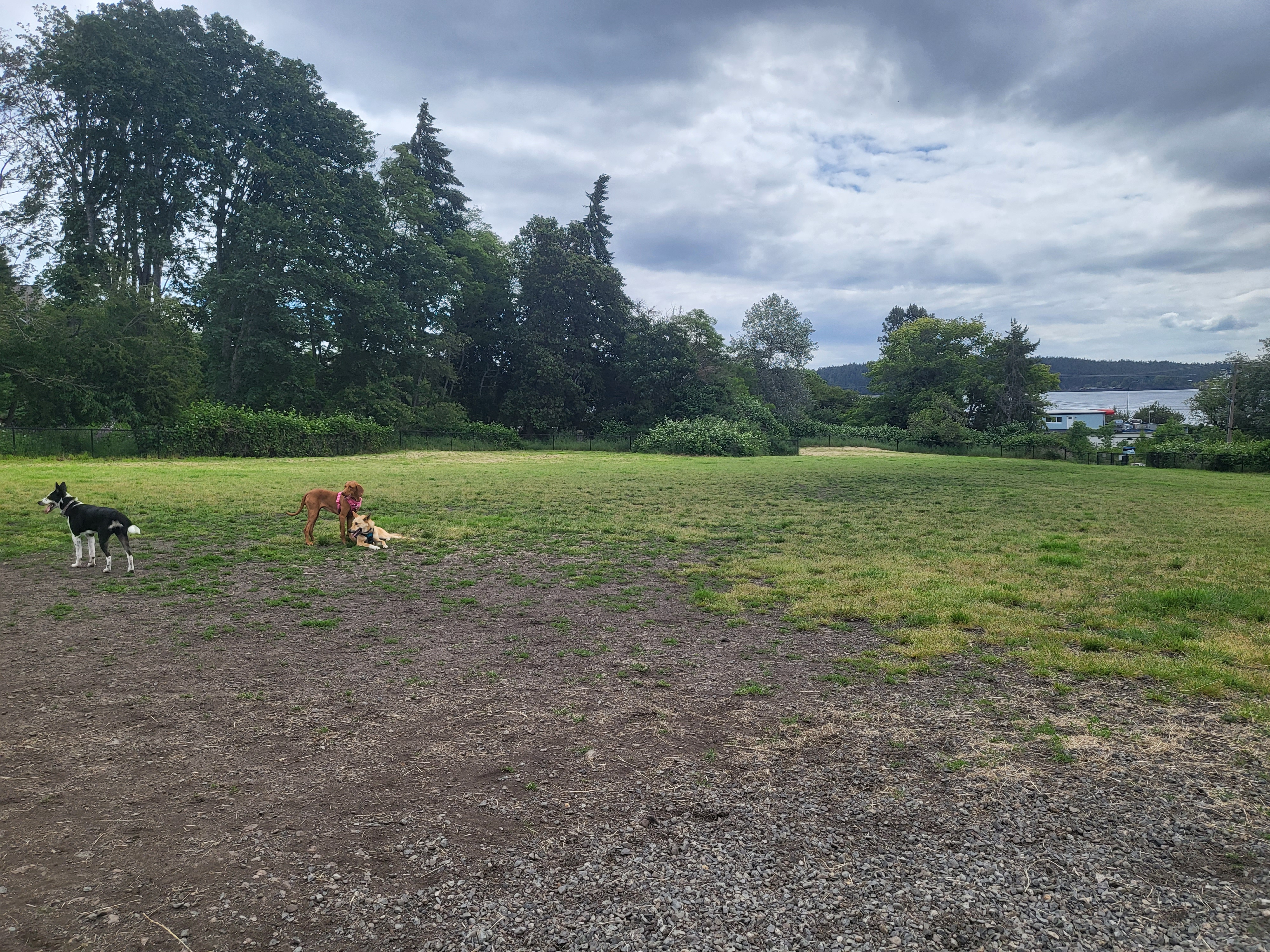 Wardropper Park Off-Leash Dog Park