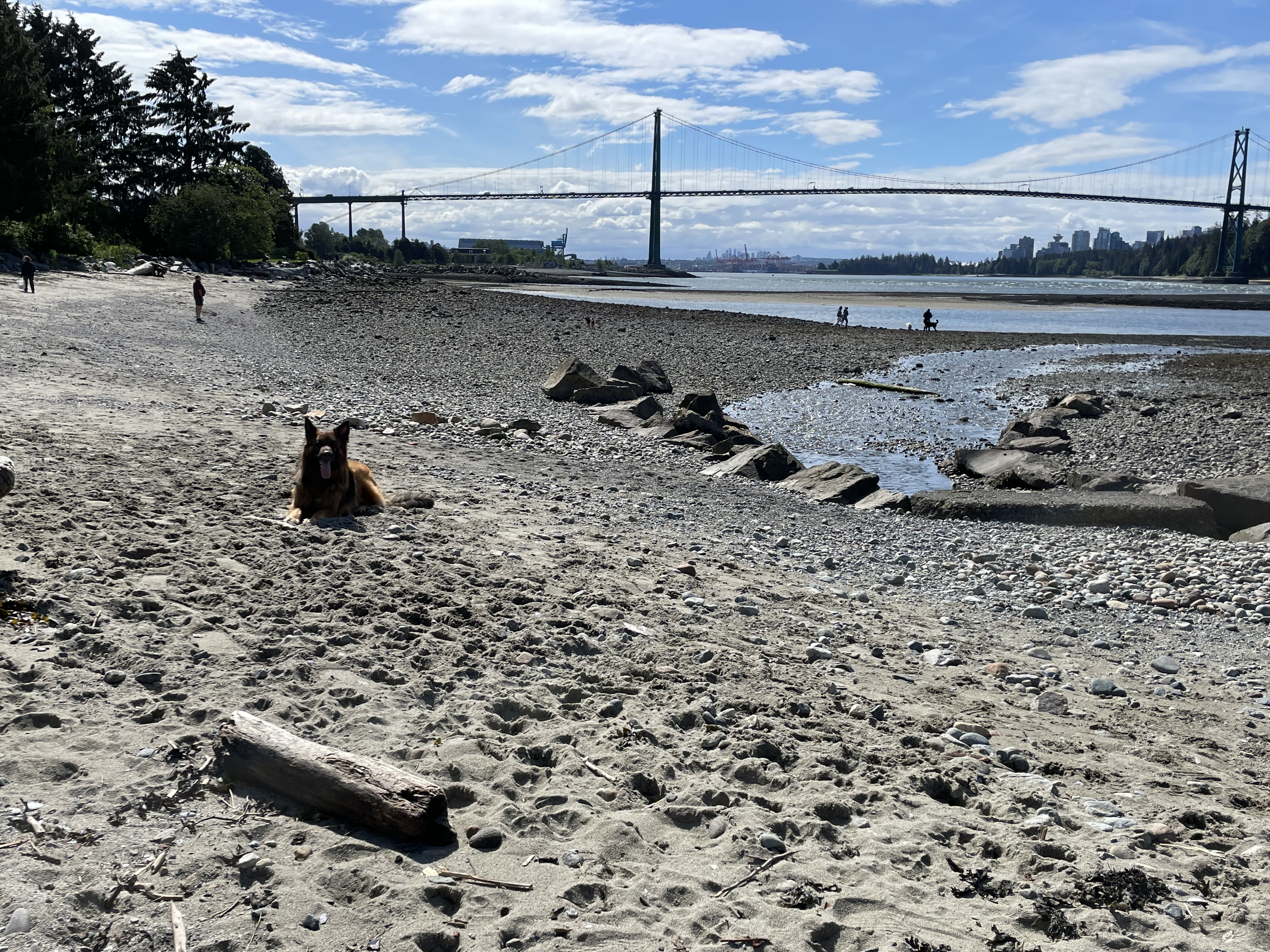 Ambleside Off-leash Dog Park/Beach