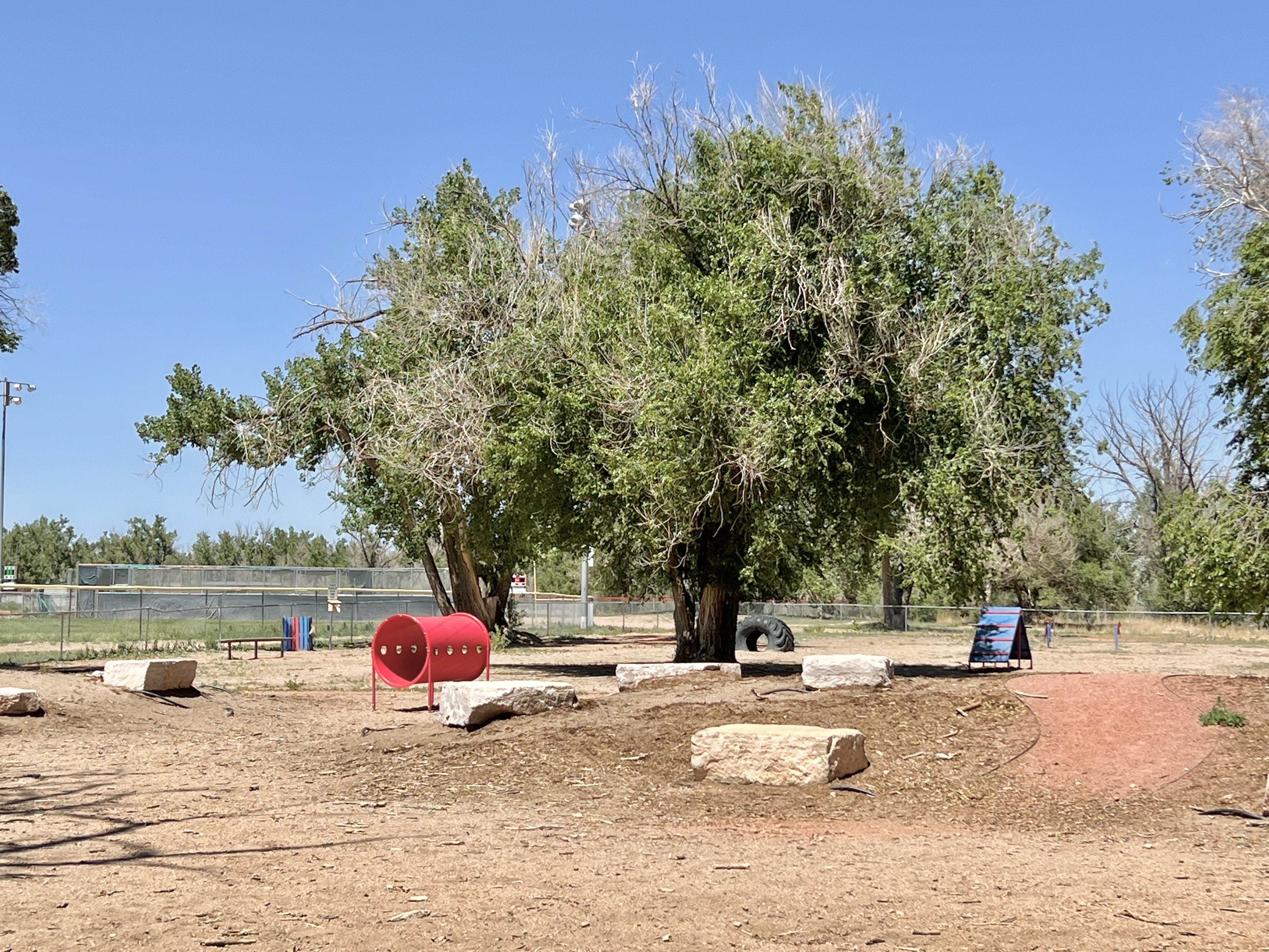 Fountain Doggie Park