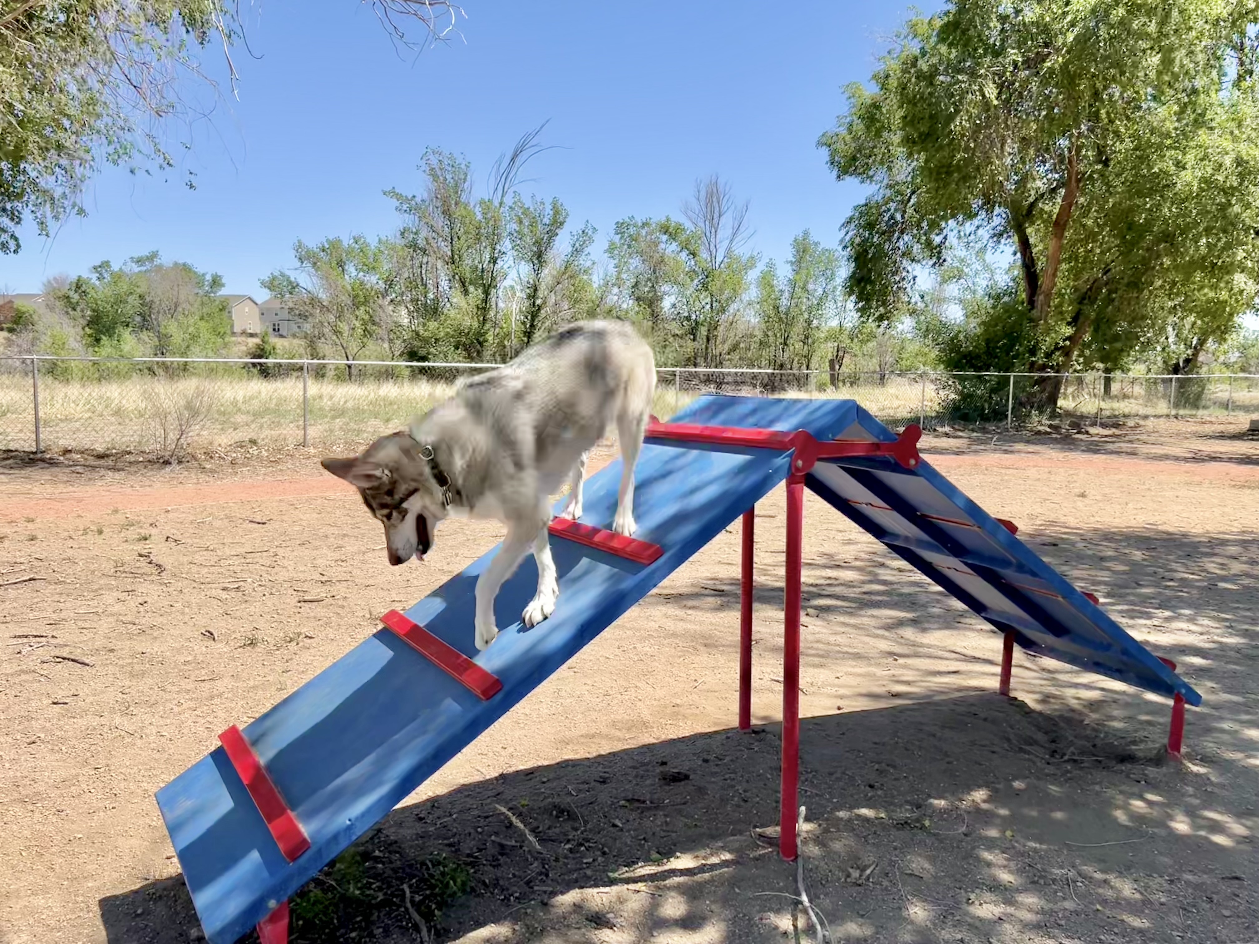 Fountain Doggie Park