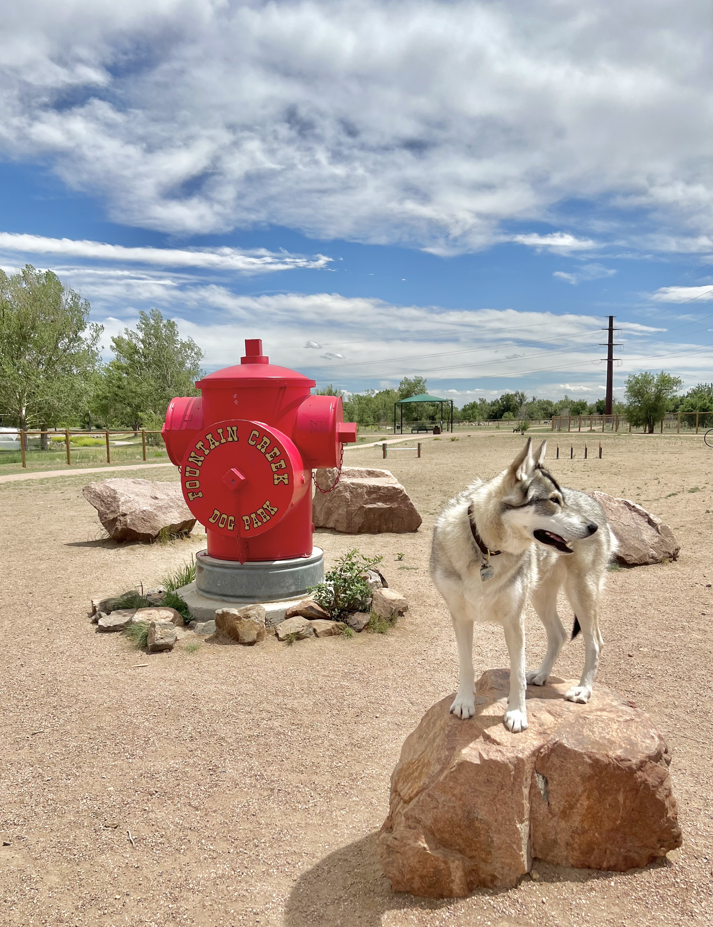 Fountain Creek Dog Park
