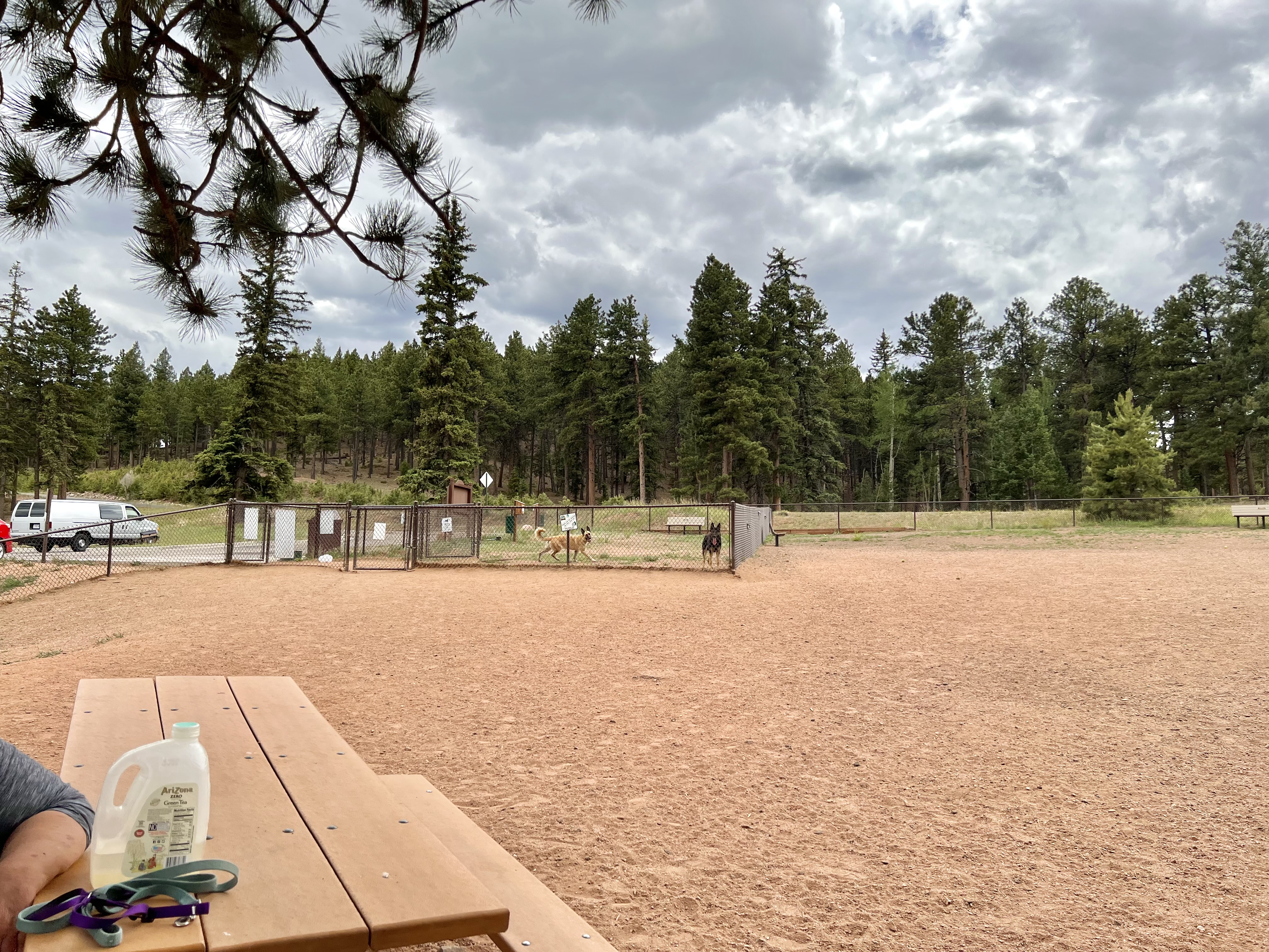 Golden Meadows Dog Park