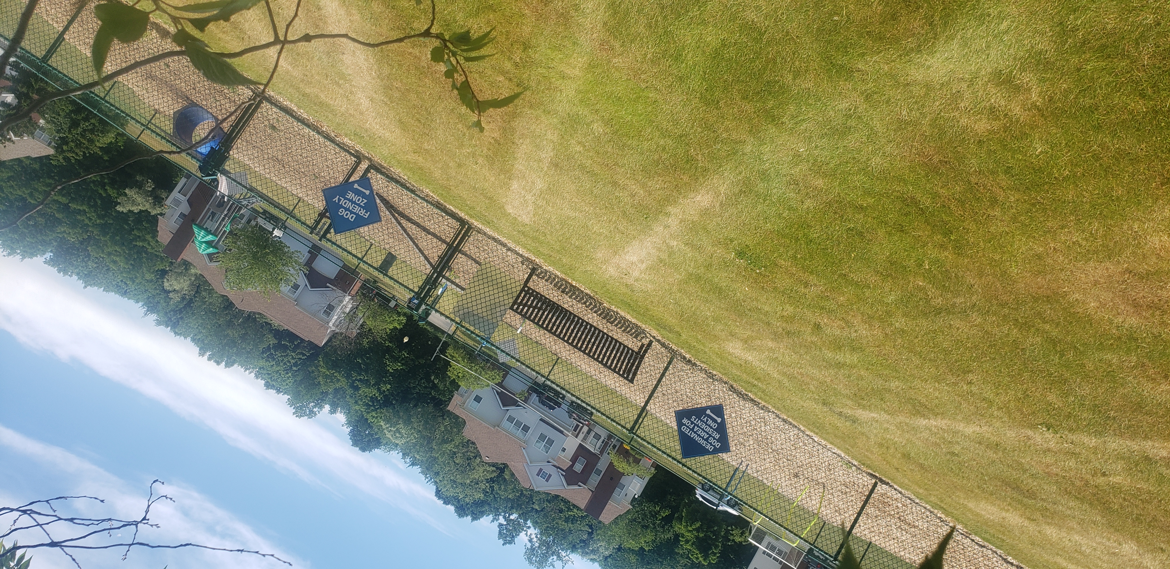 Webster Green Dog Park