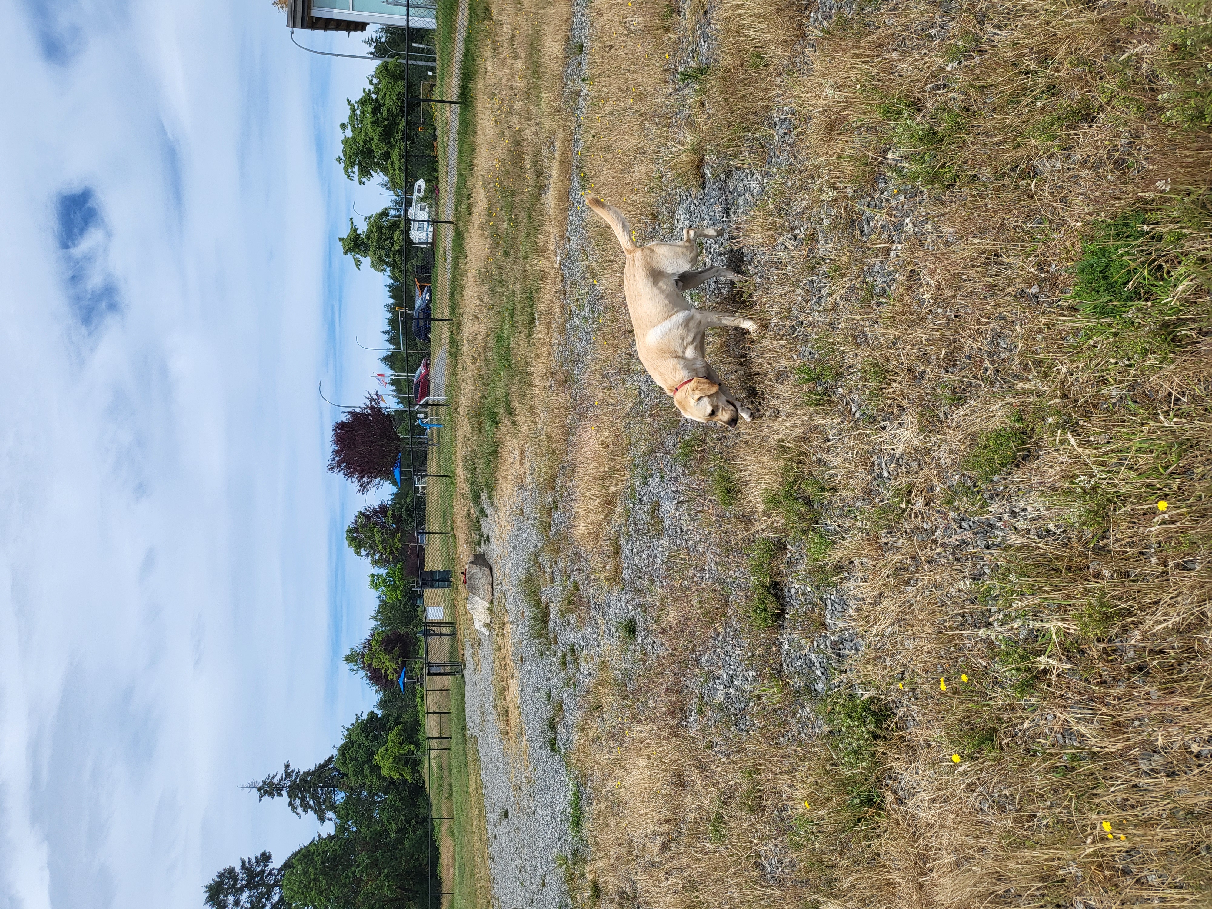 Northfield Rotary Lookout Park