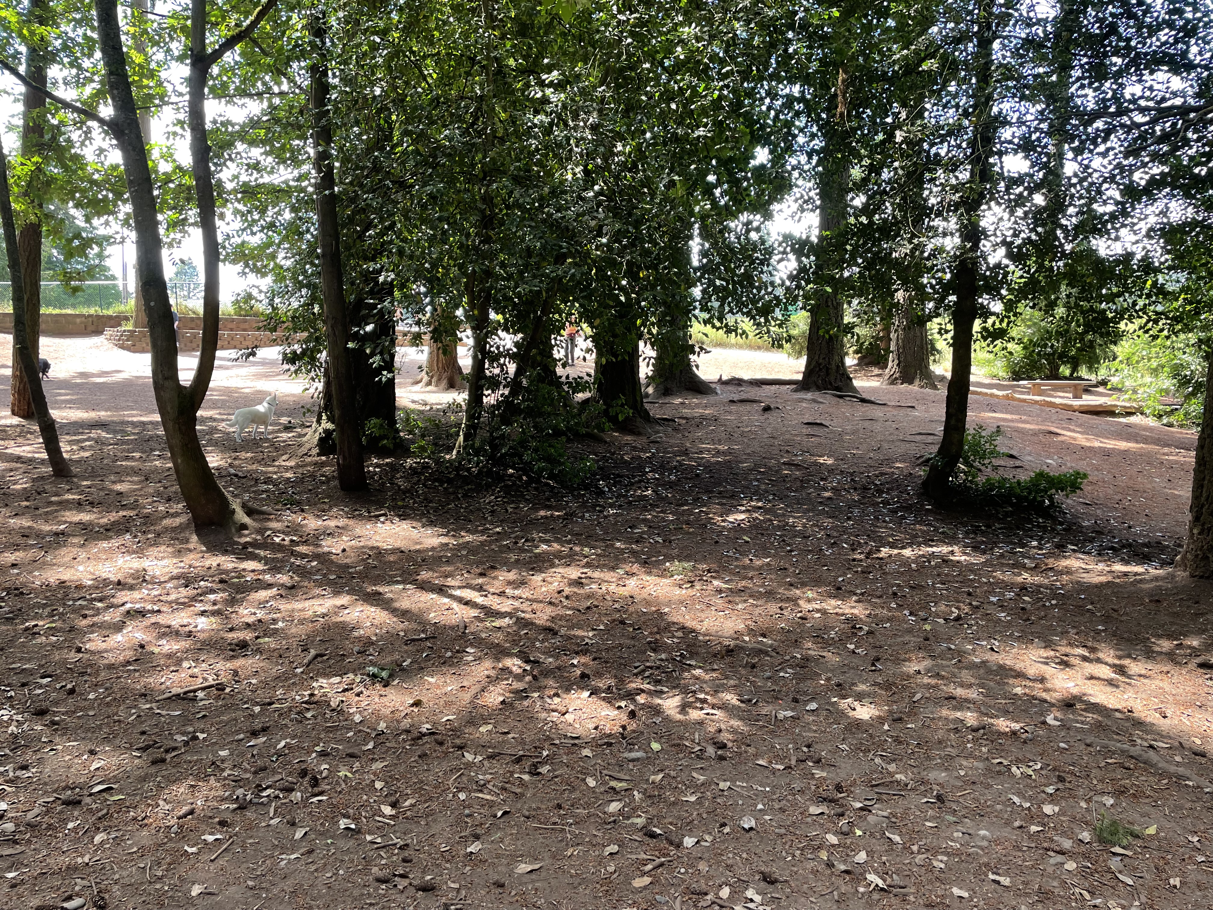 Mountlake Terrace Off-Leash Dog Park