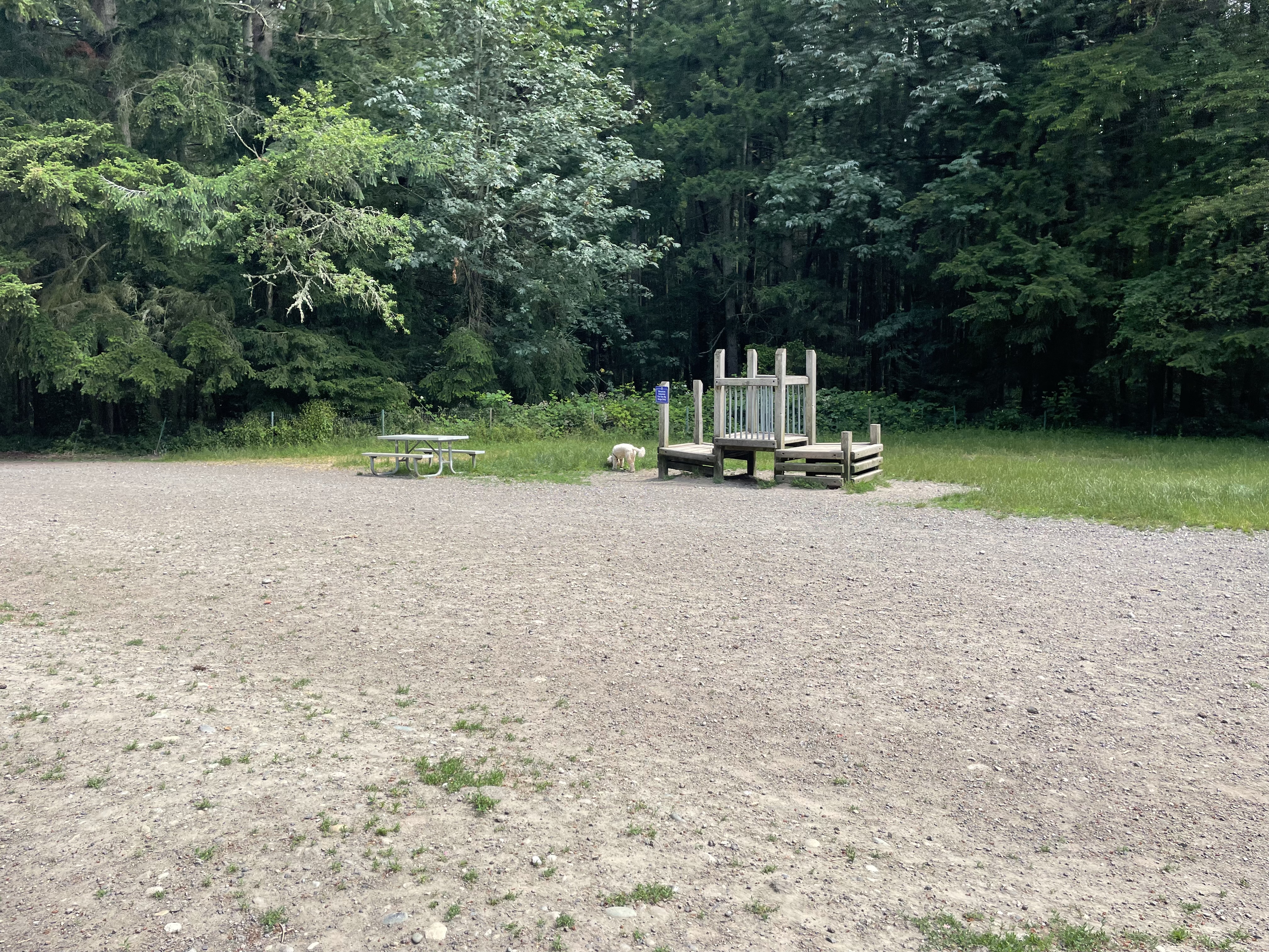 Shoreline Off Leash Dog Park