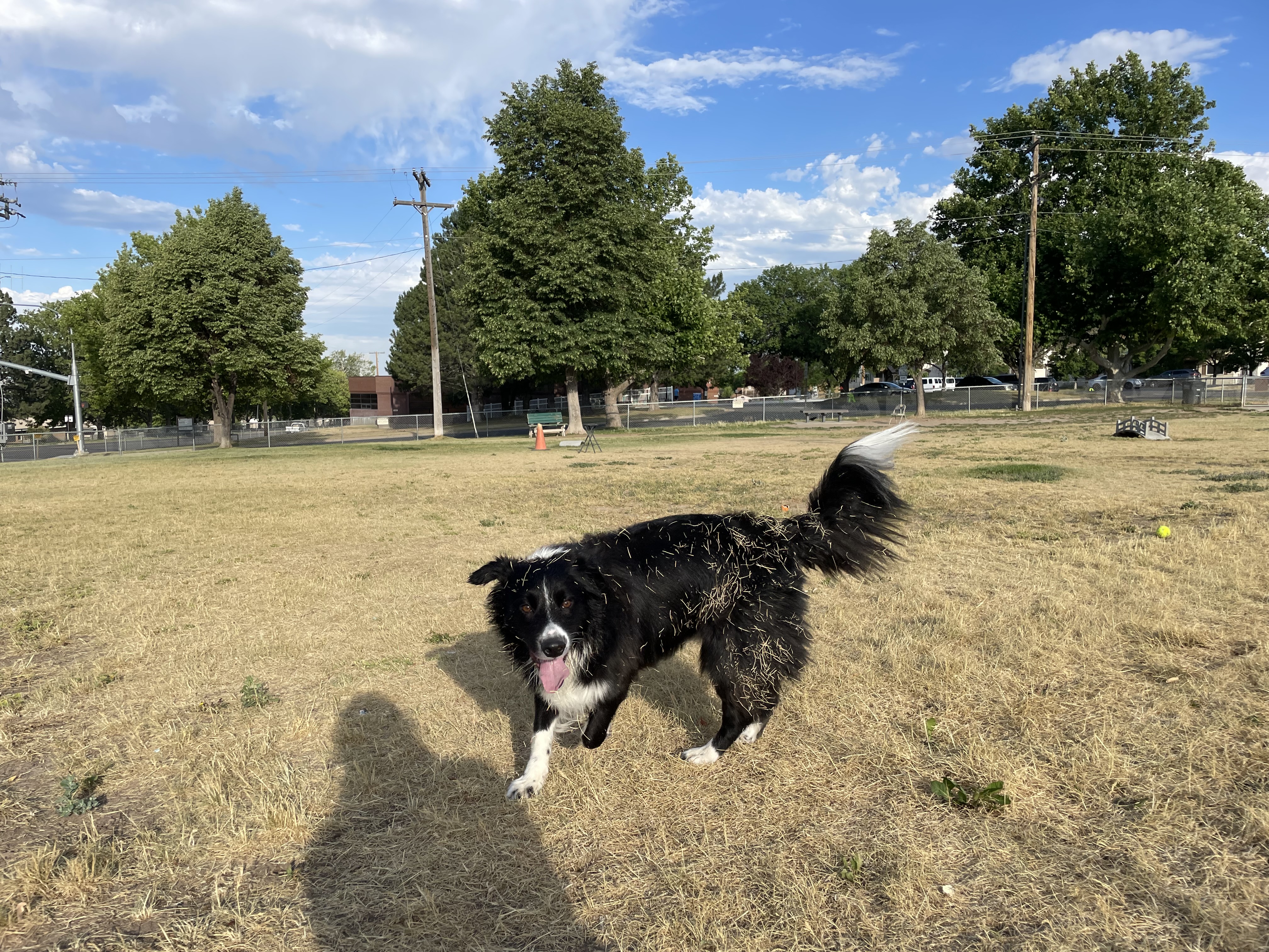 Hill AFB Dog Park