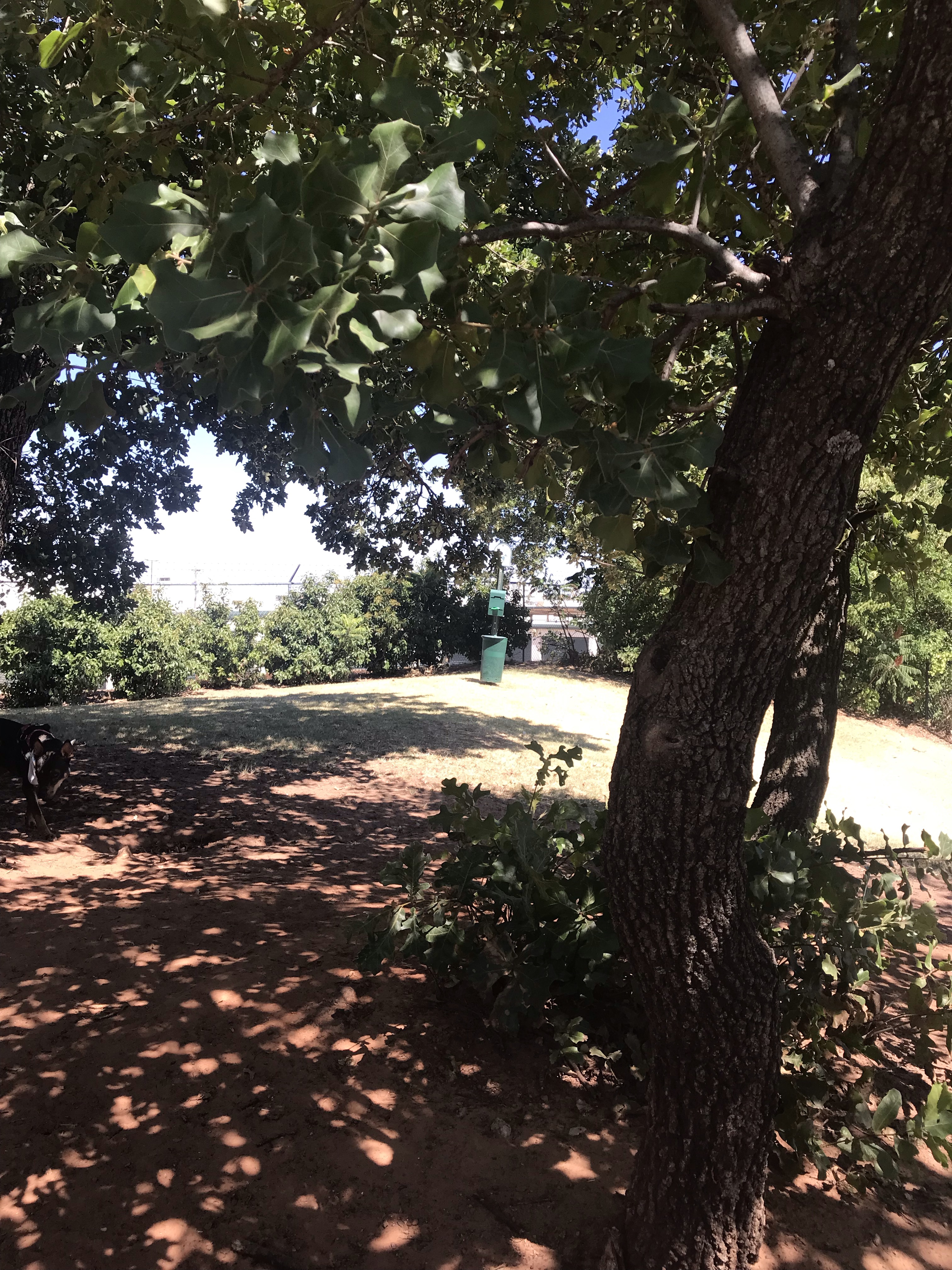 Oxford Oaks Apartments Private Dog Park