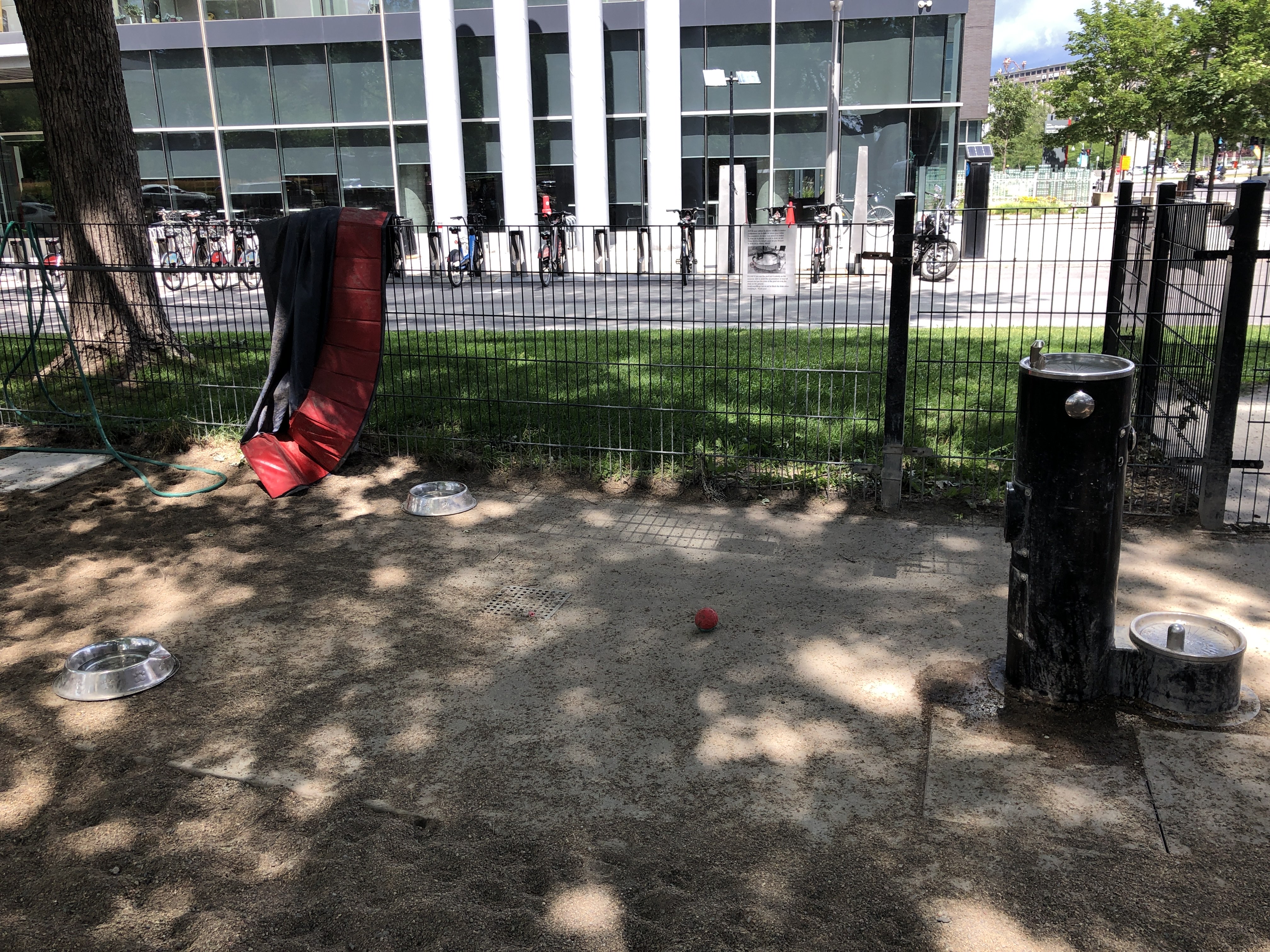 Parc à chiens Pilote