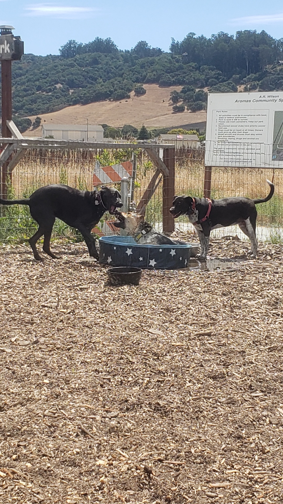 Aromas Dog Park
