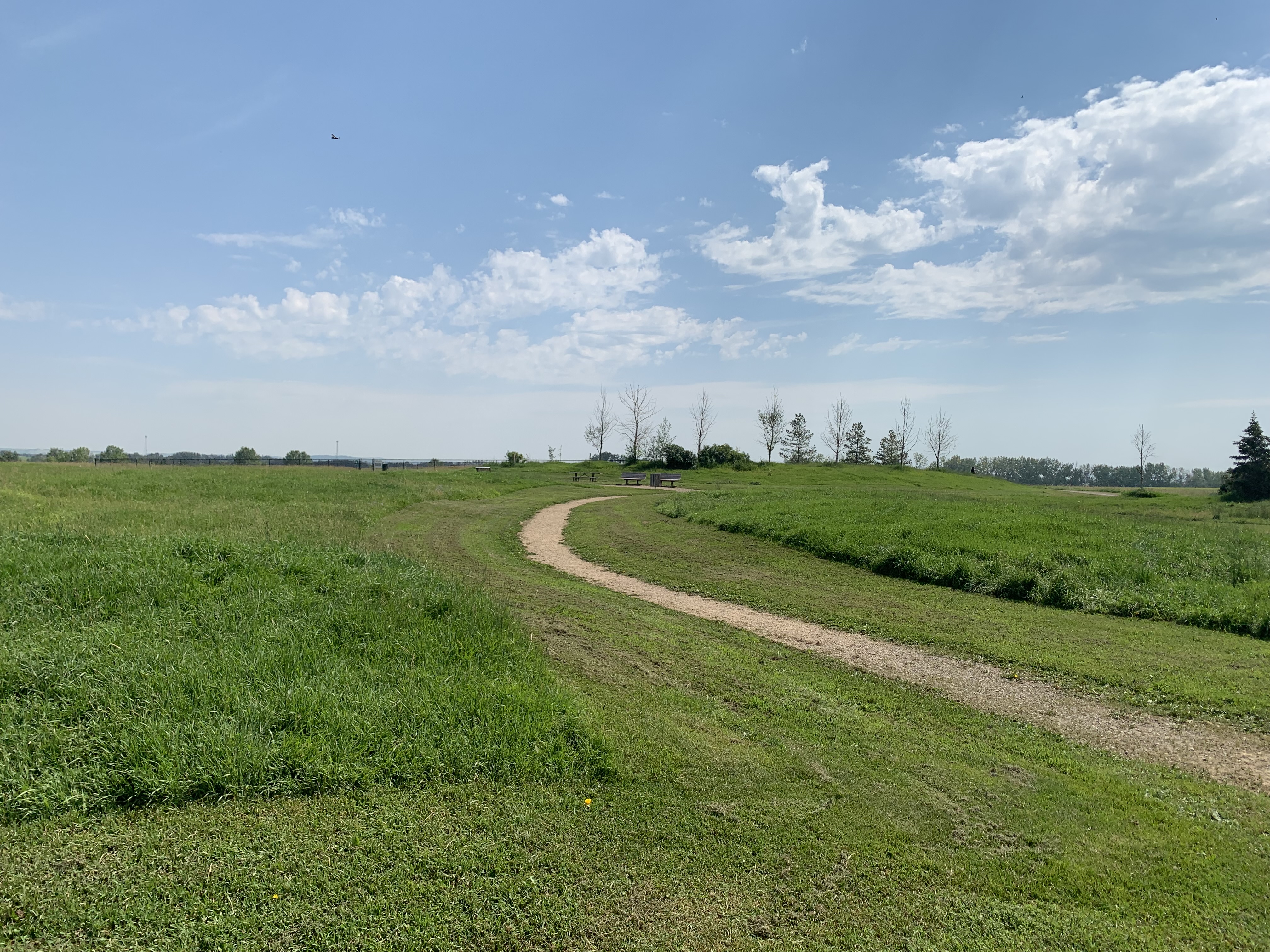 Oxbows Off Leash Dog Park