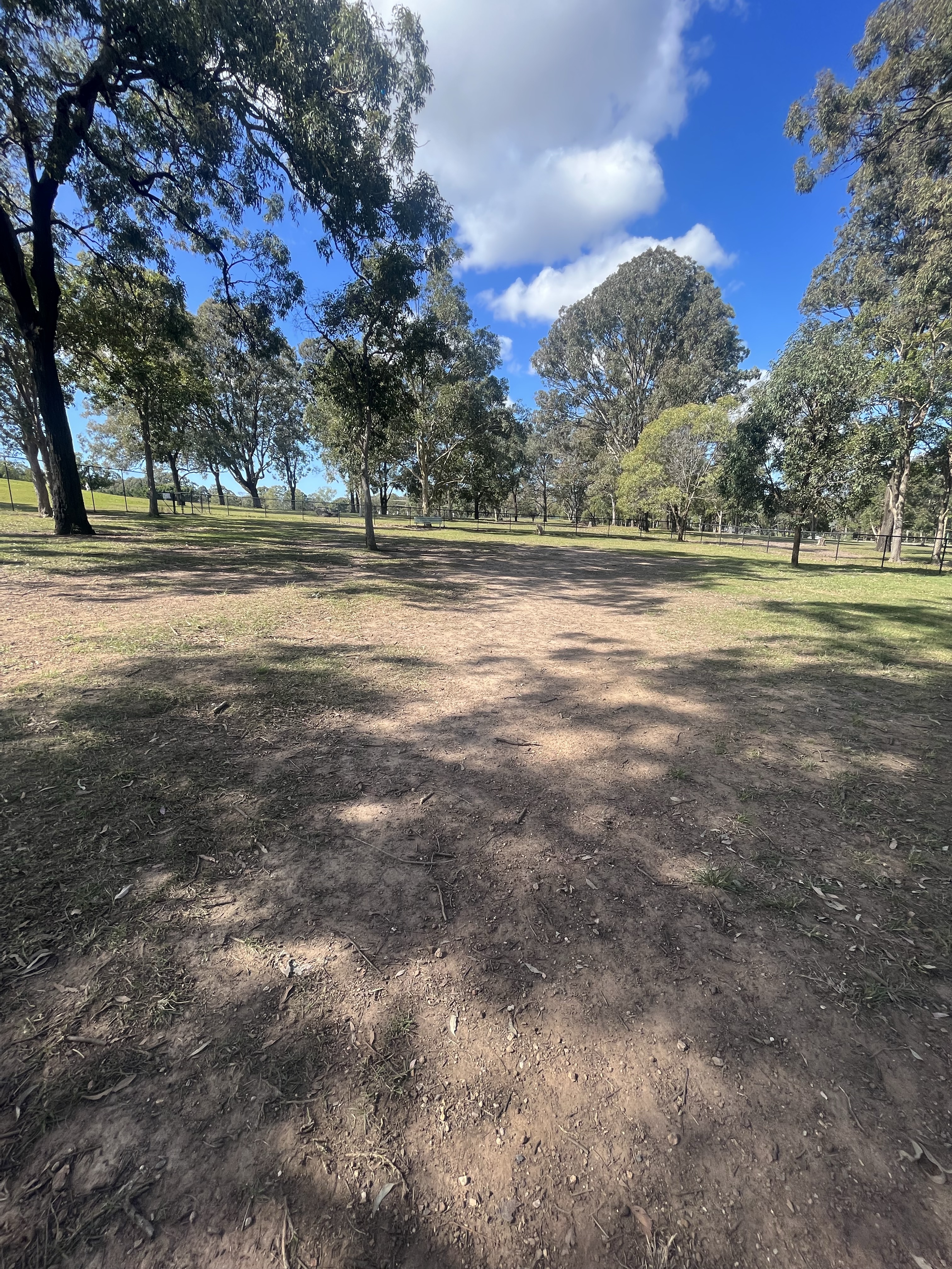 Marchant Park Dog Park