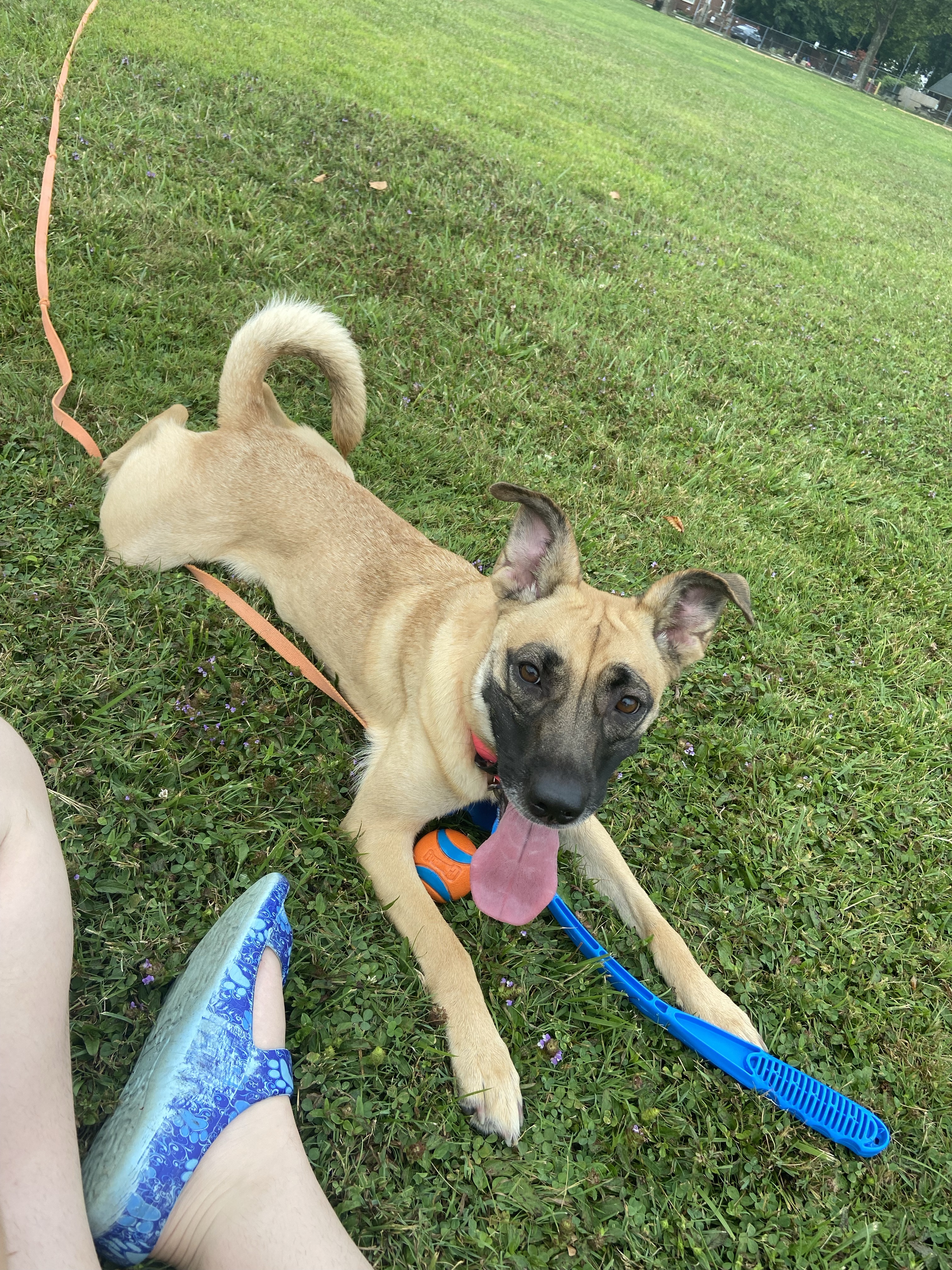 Madison Township Park