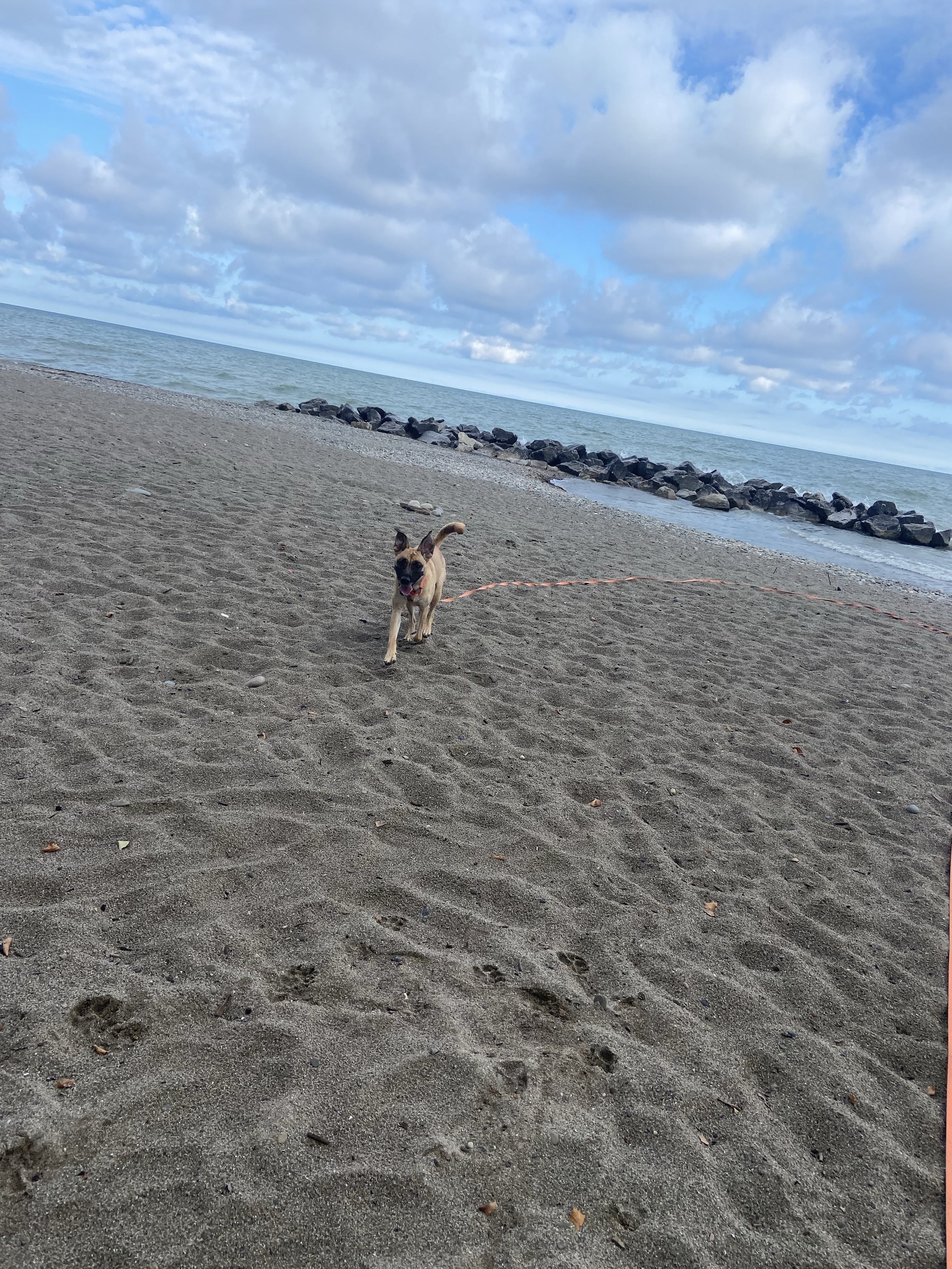 Madison Township Park