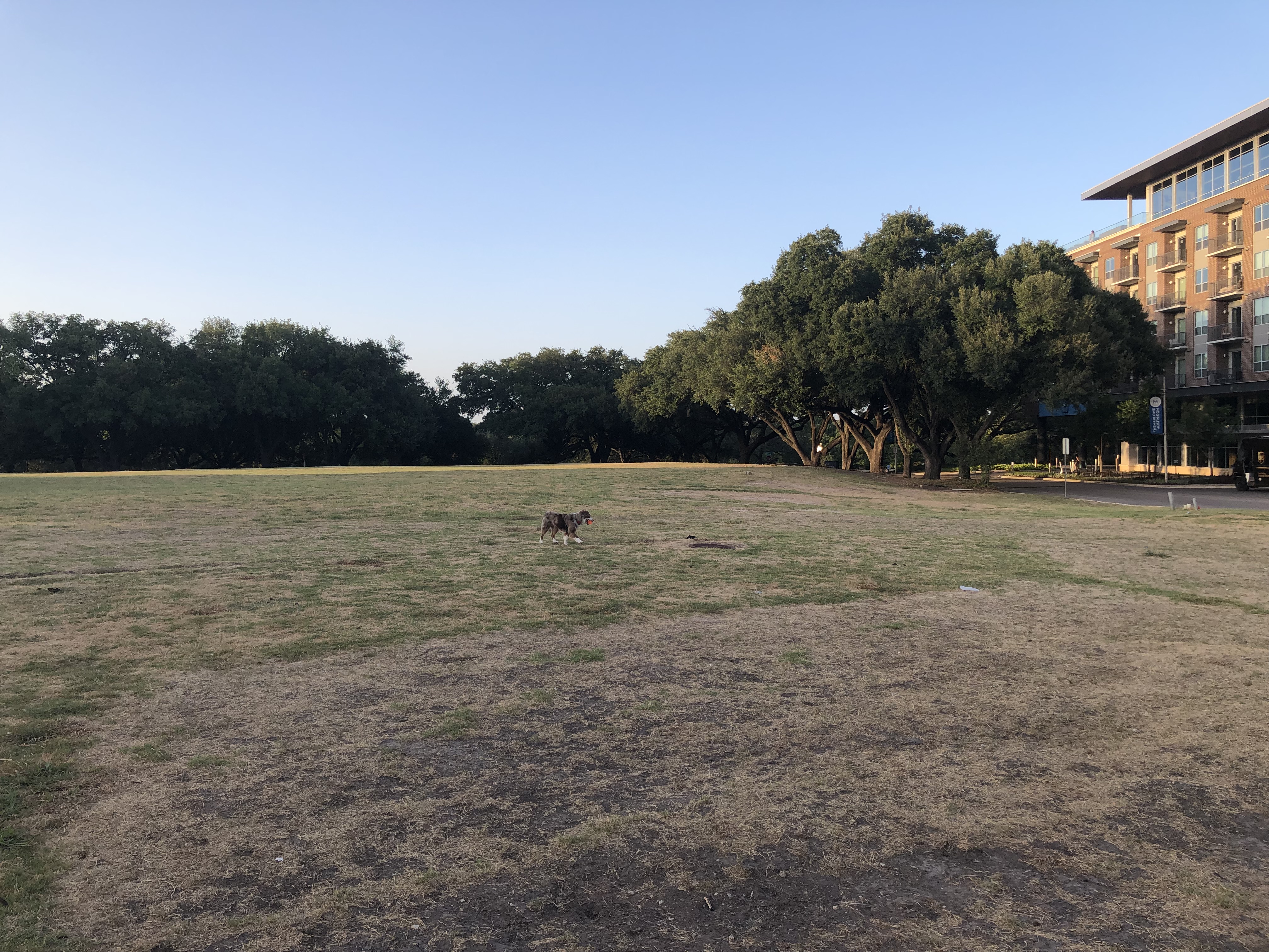 South Shore Dog Park