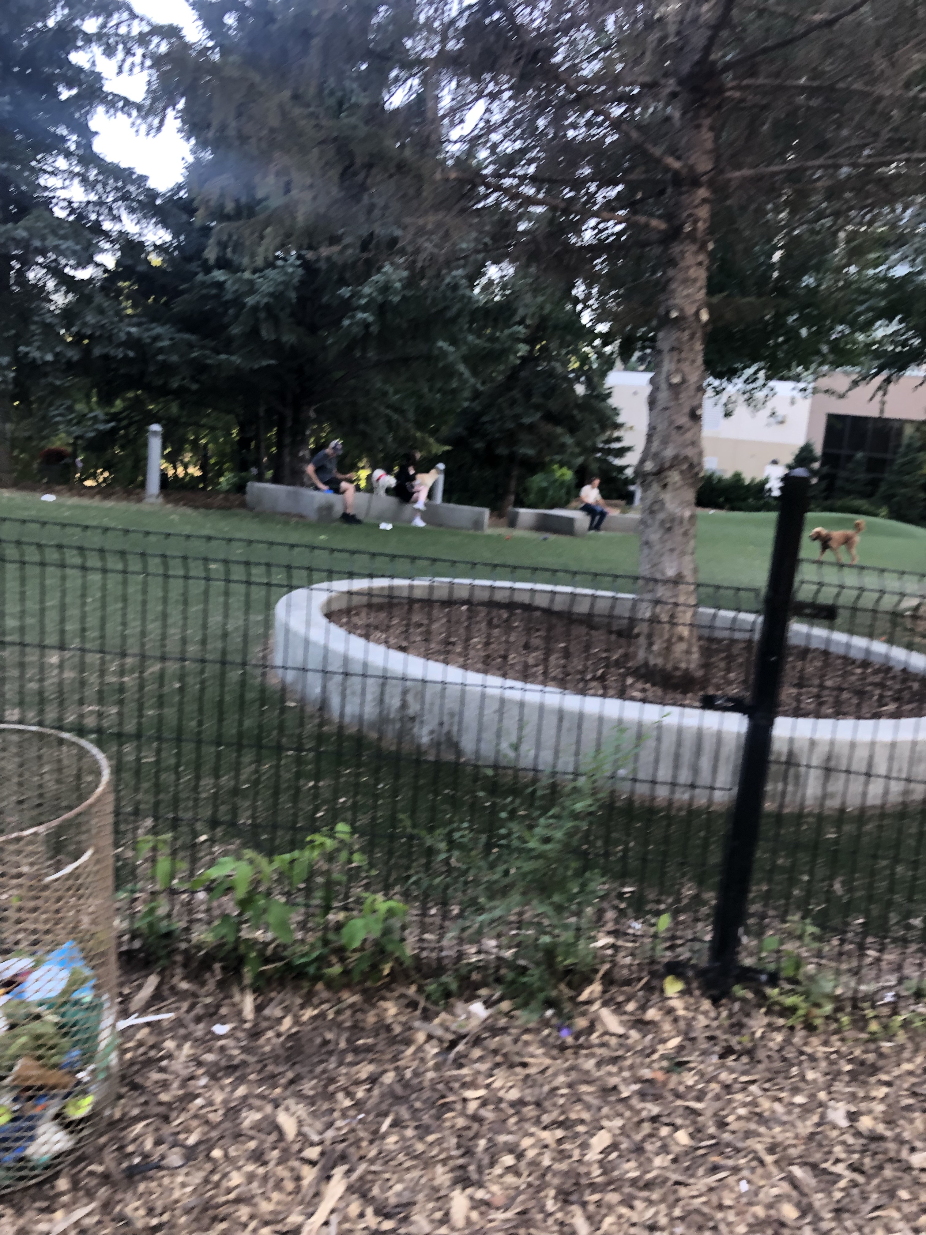 Bonnycastle Dog Park