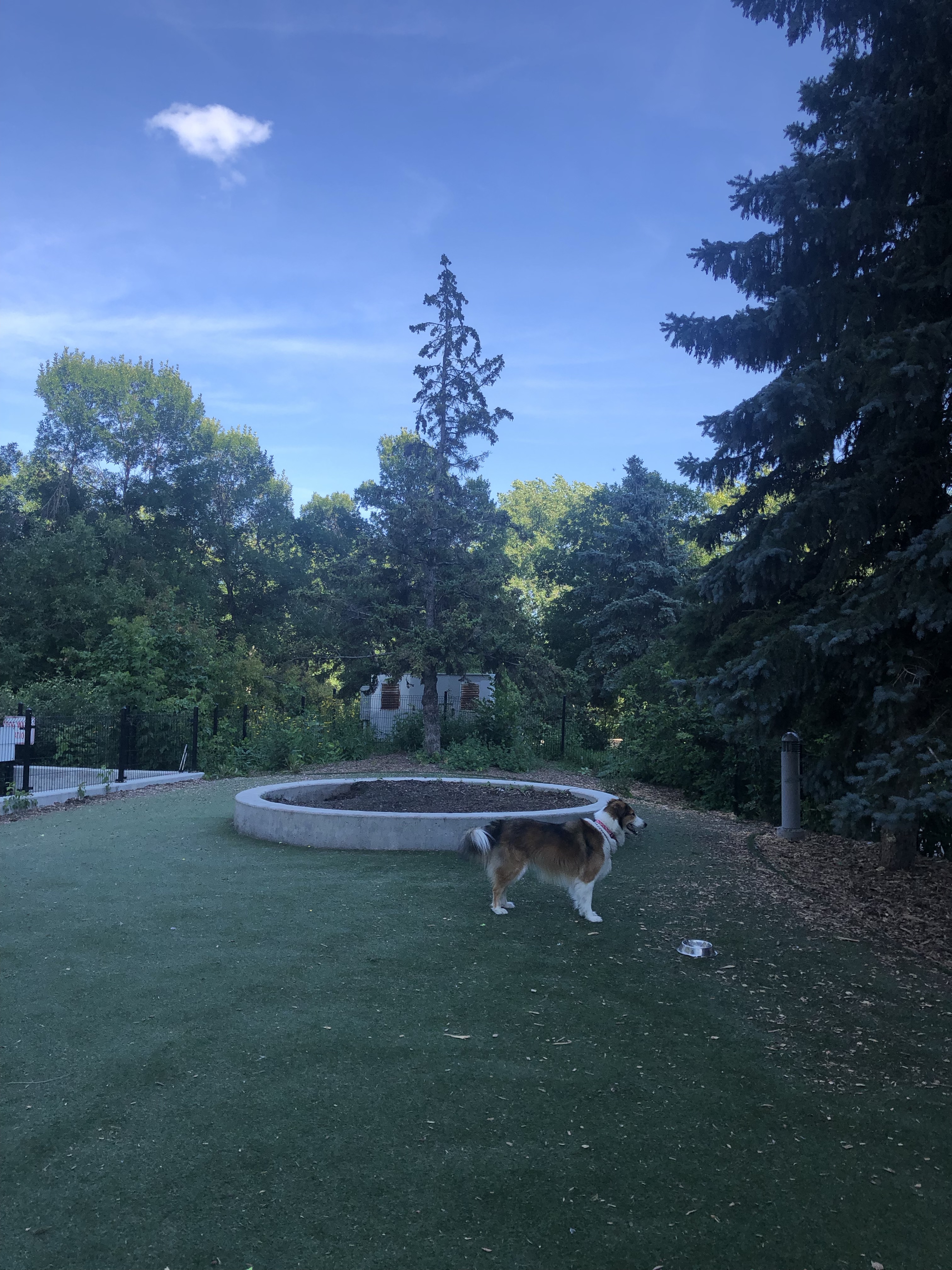 Bonnycastle Dog Park