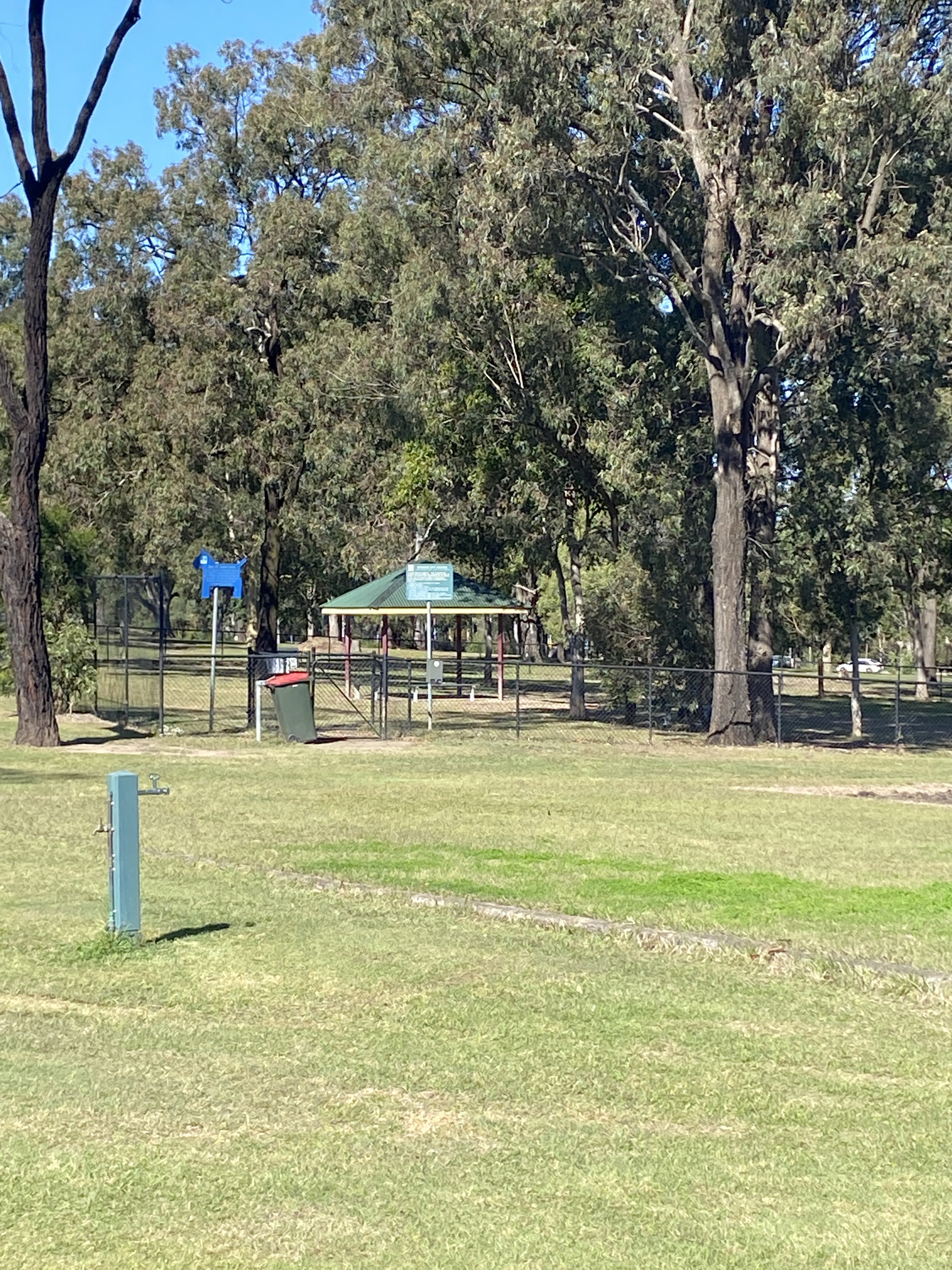 Marchant Park Dog Park