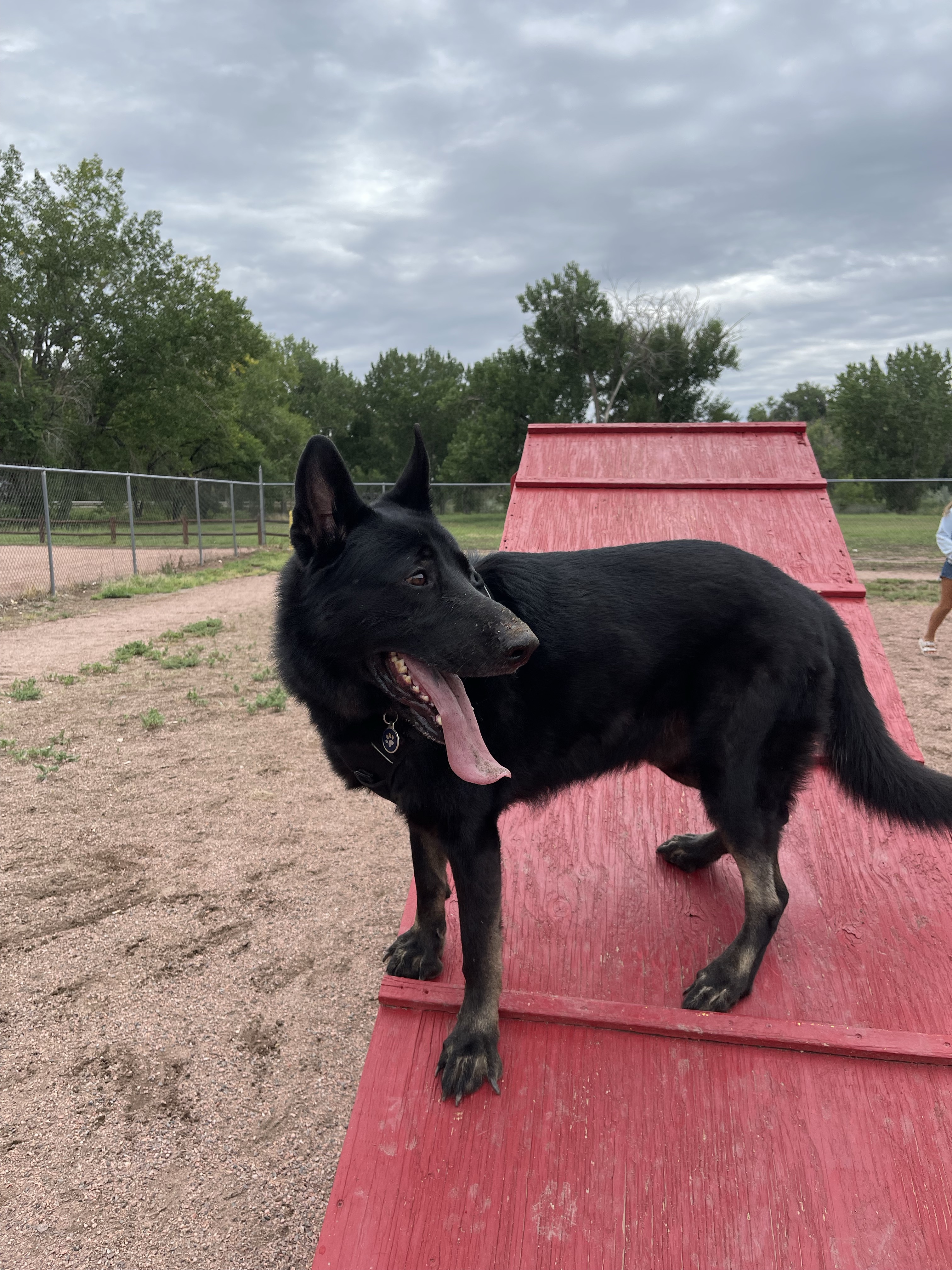 Cañon City Off Leash Dog Park