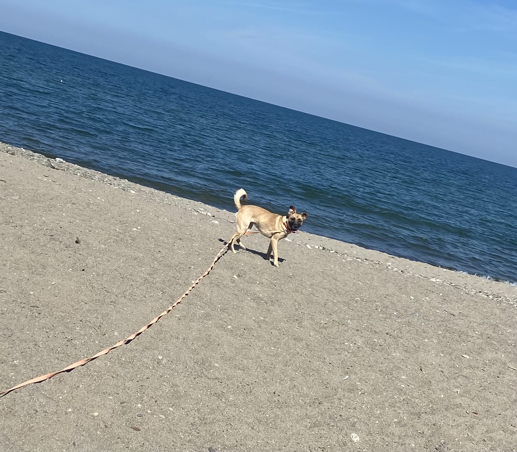 Madison Township Park