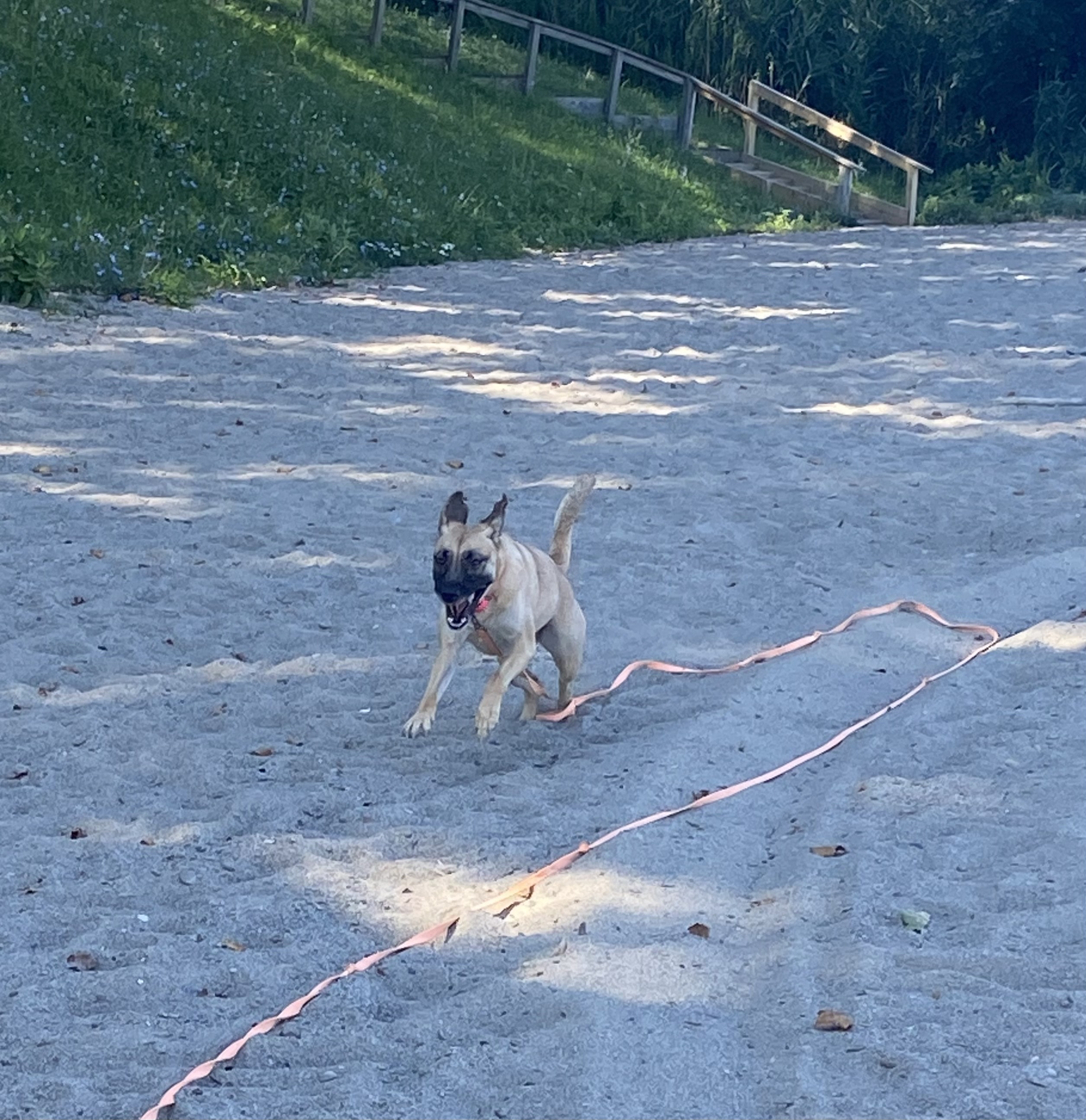 Madison Township Park