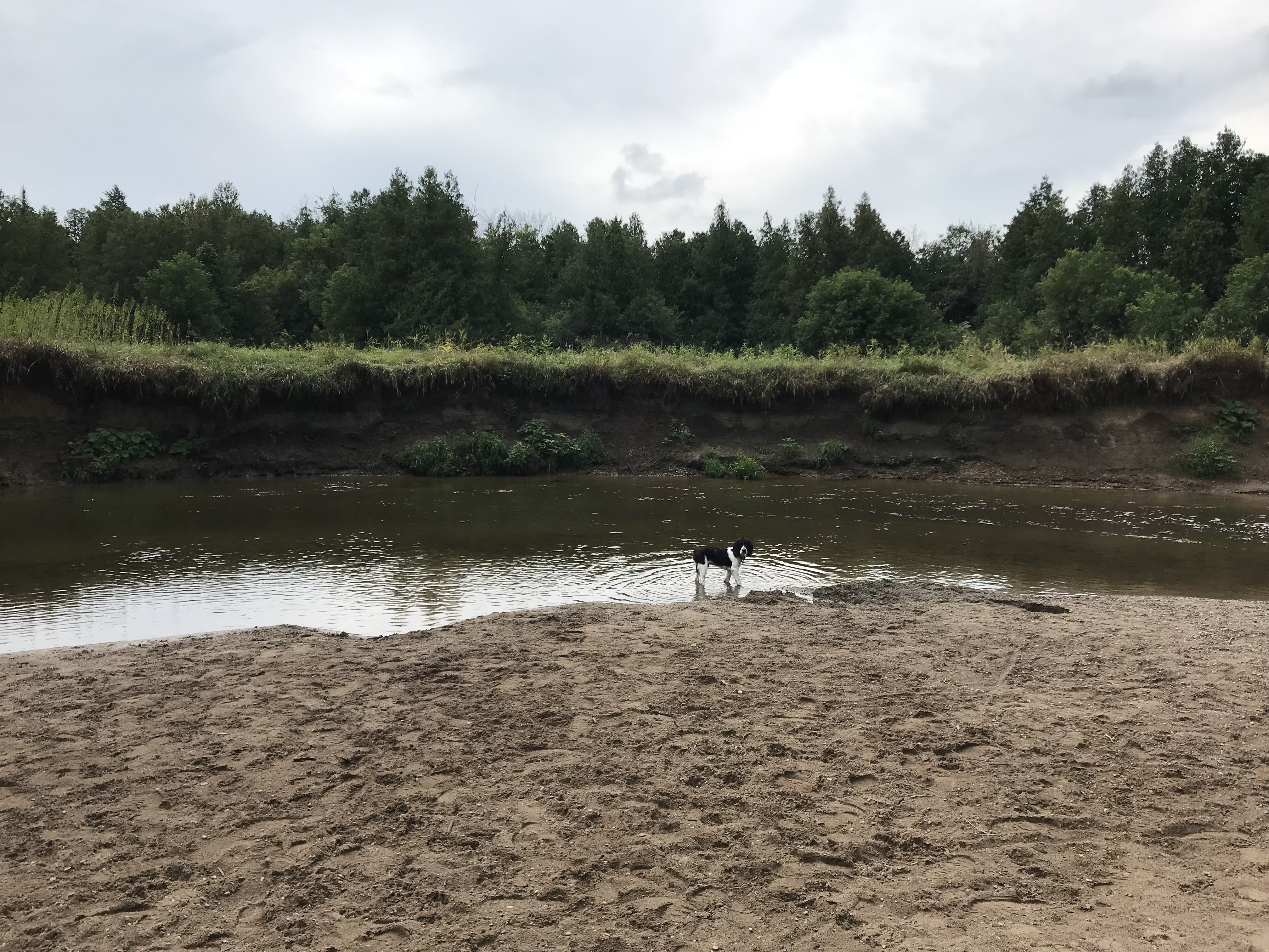 Beattie Pinery Provincial Nature Reserve