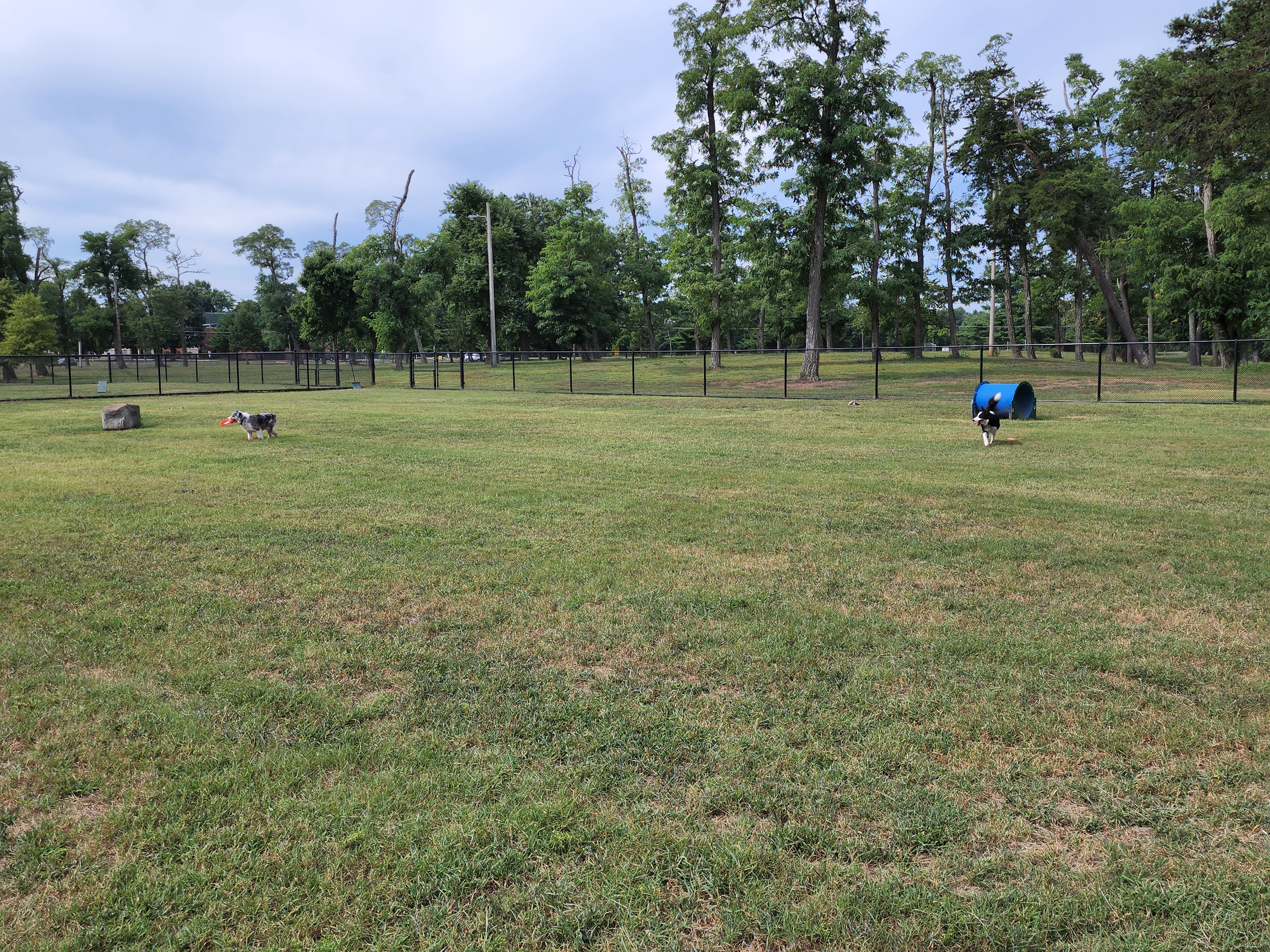 Village Green Dog Run