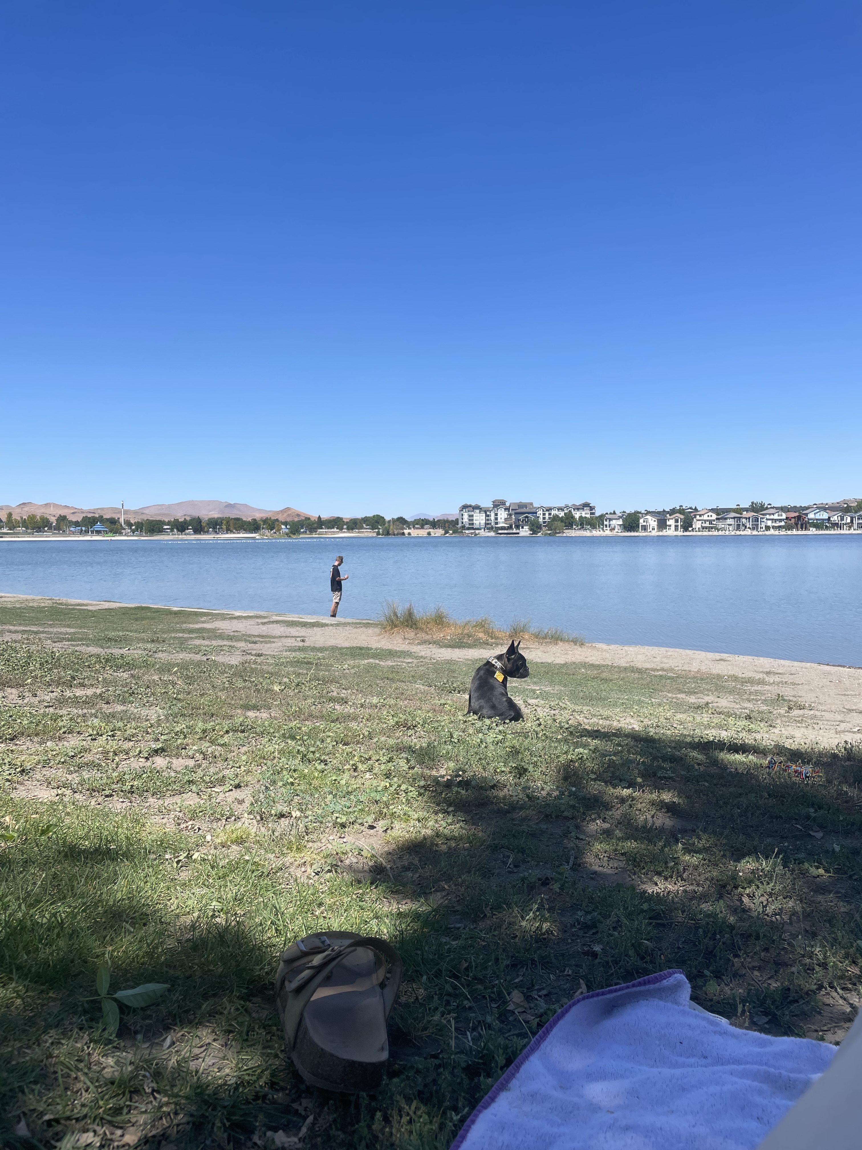 Sparks Marina Dog Park