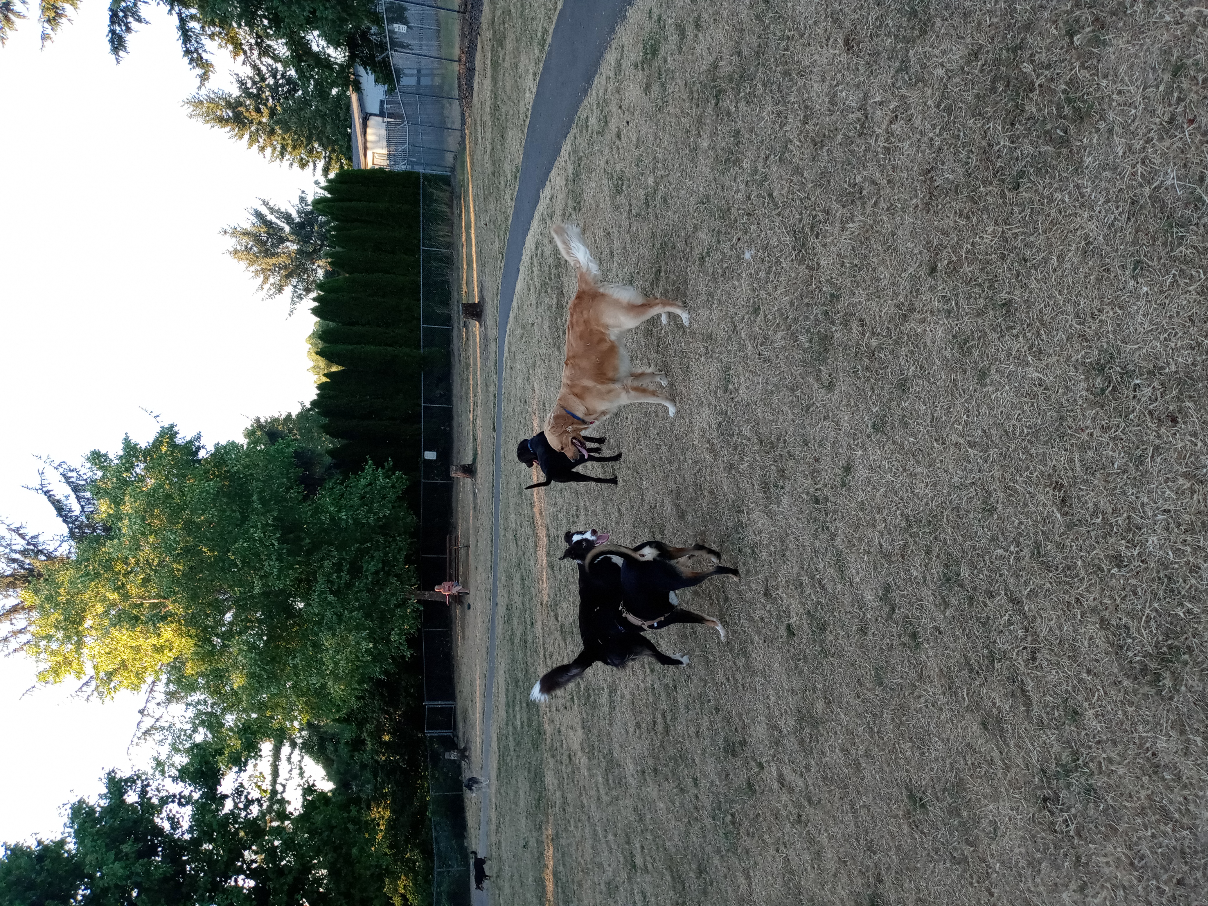 Riverside Dog Park OR