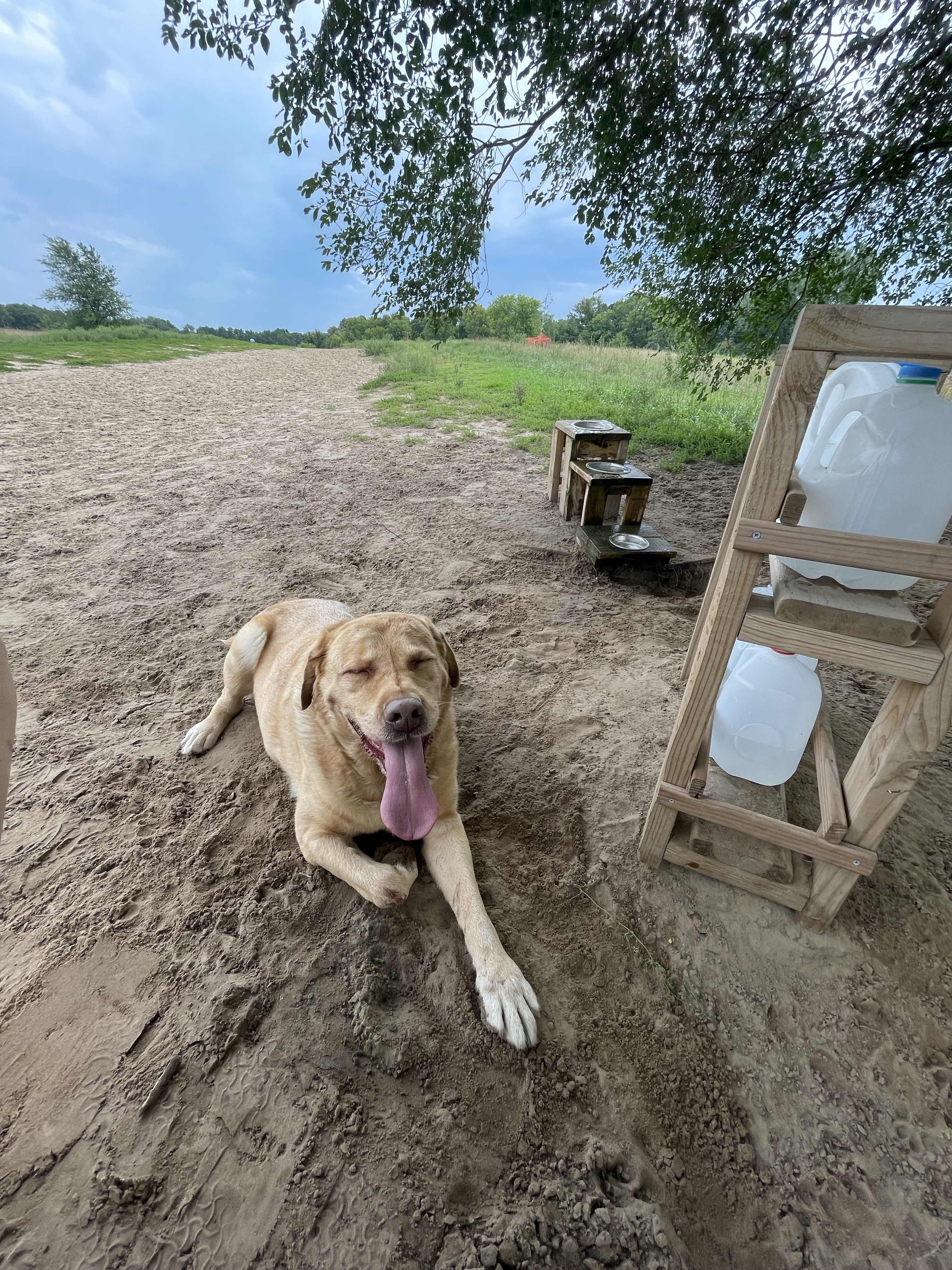 Rice Creek Off-Leash Dog Area