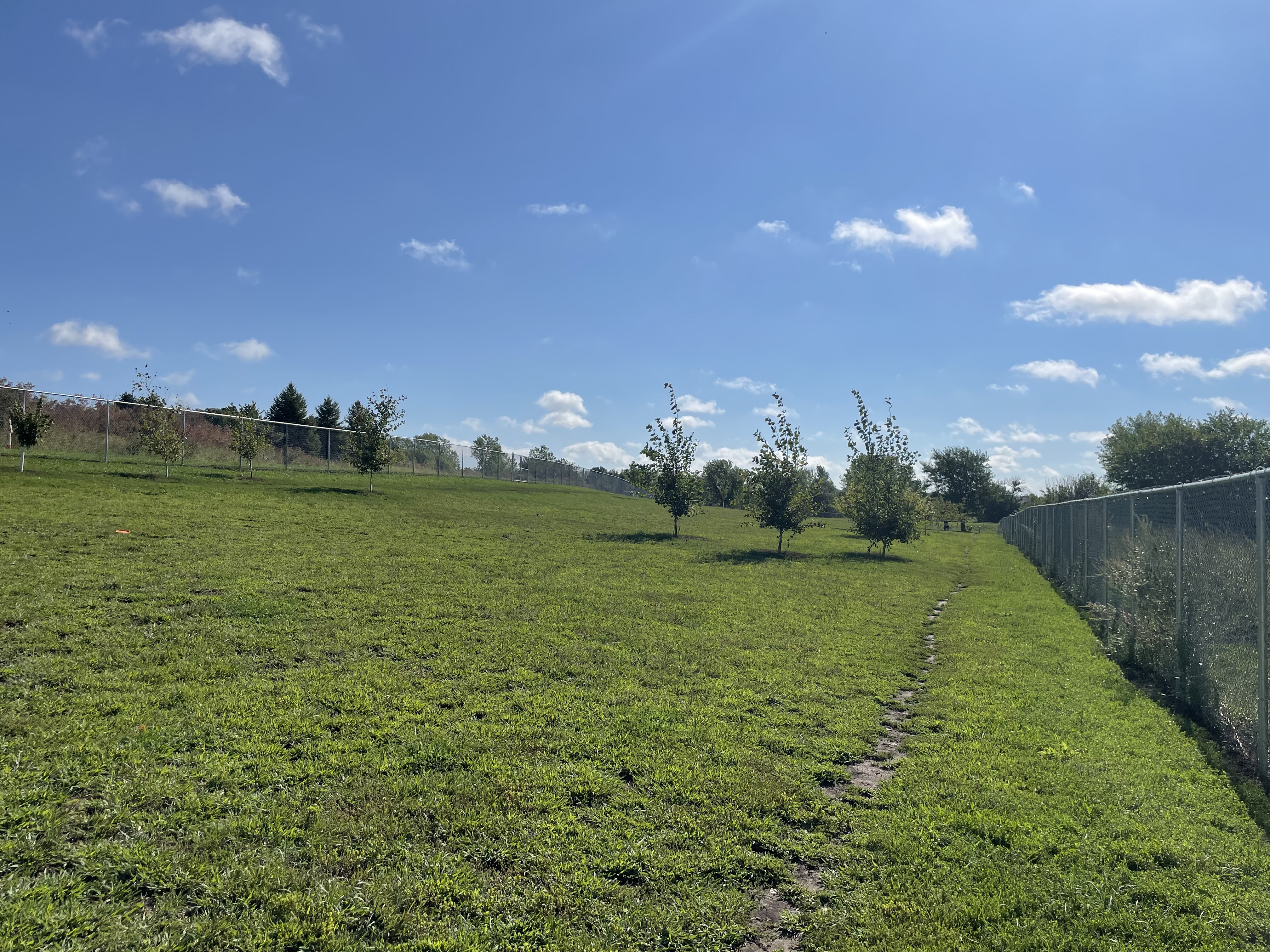 Walnut Creek Leash Free Dog Park