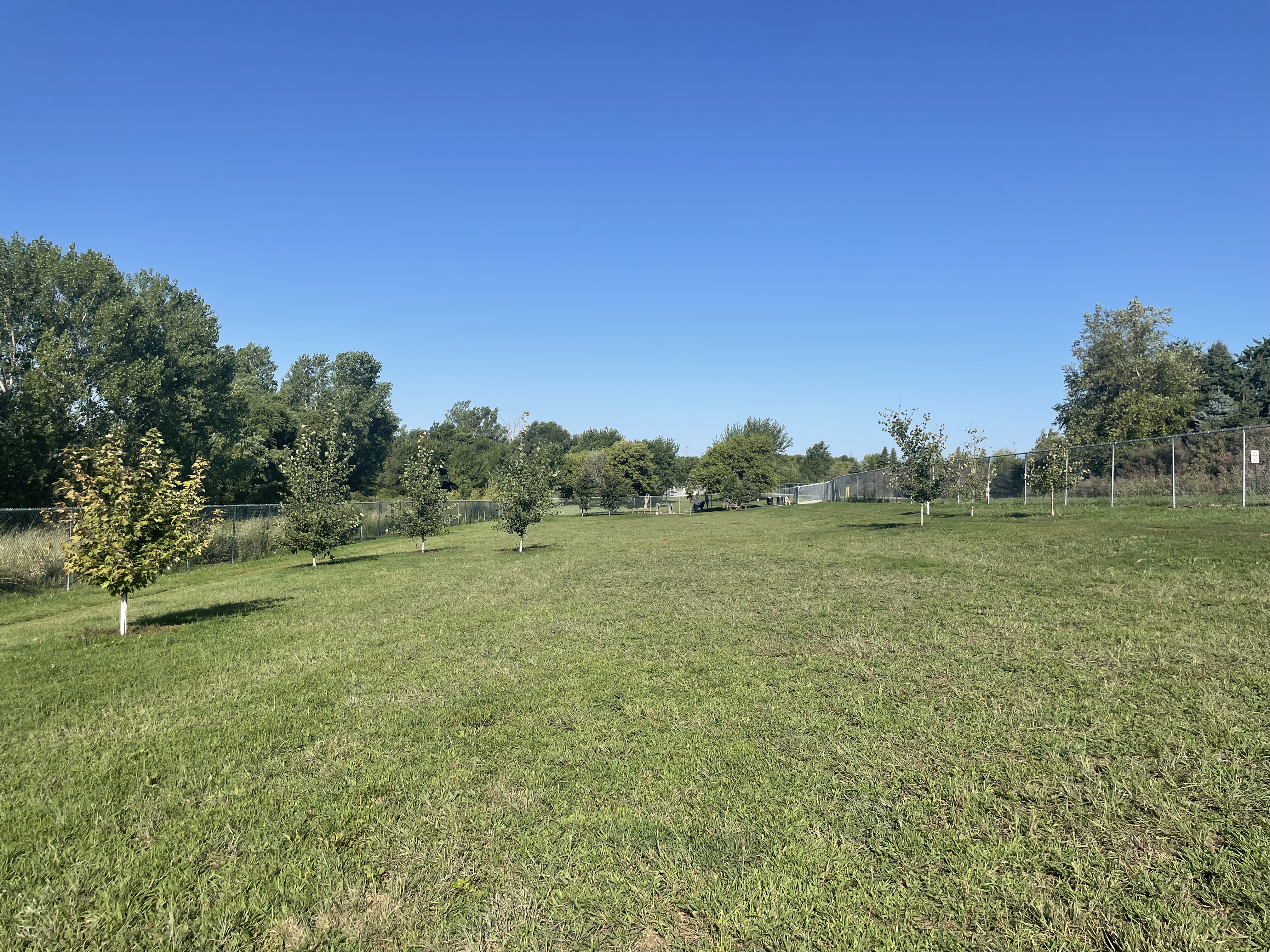 Walnut Creek Leash Free Dog Park