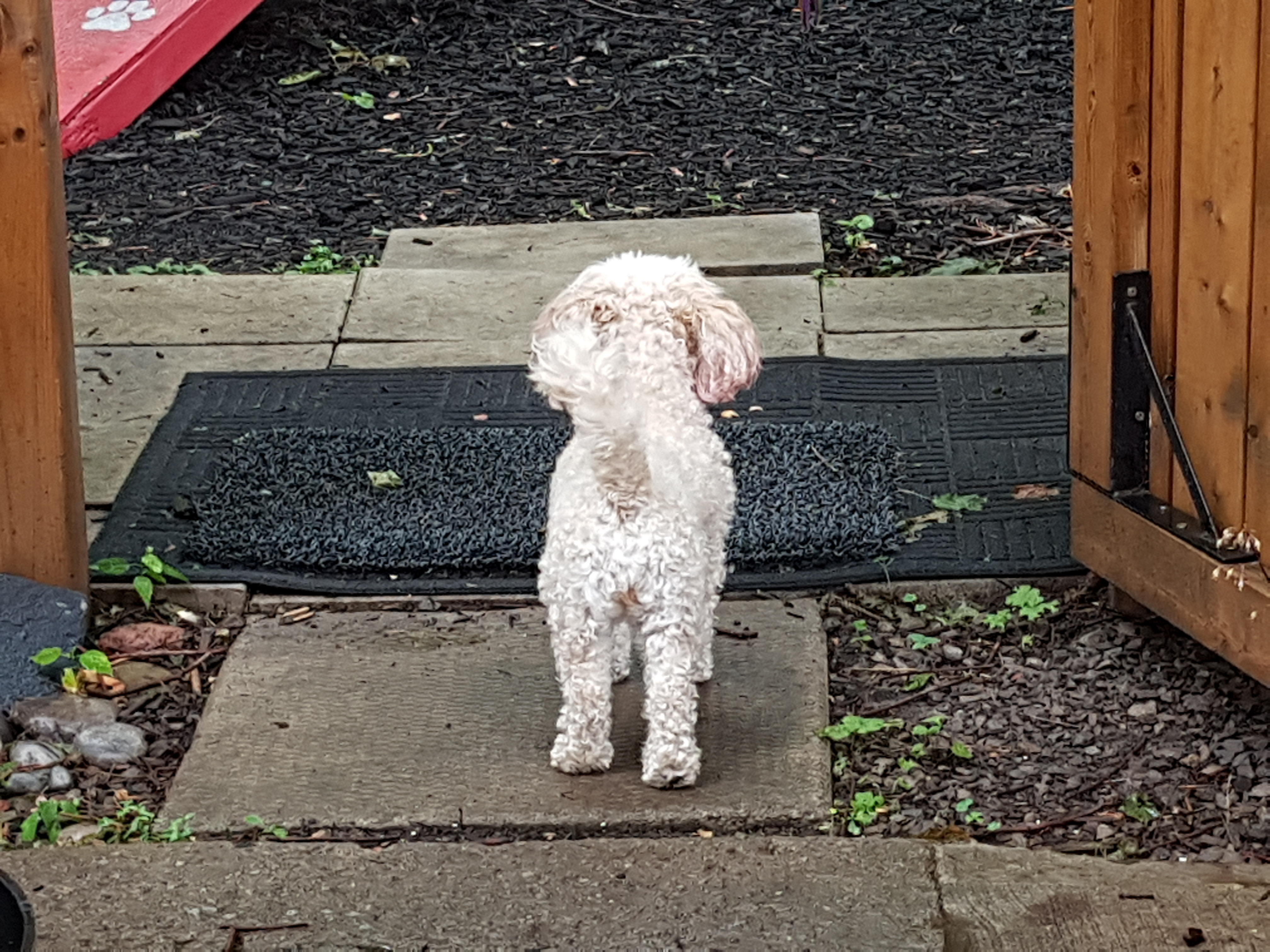 Pupvacay's Sniffspot (Private)