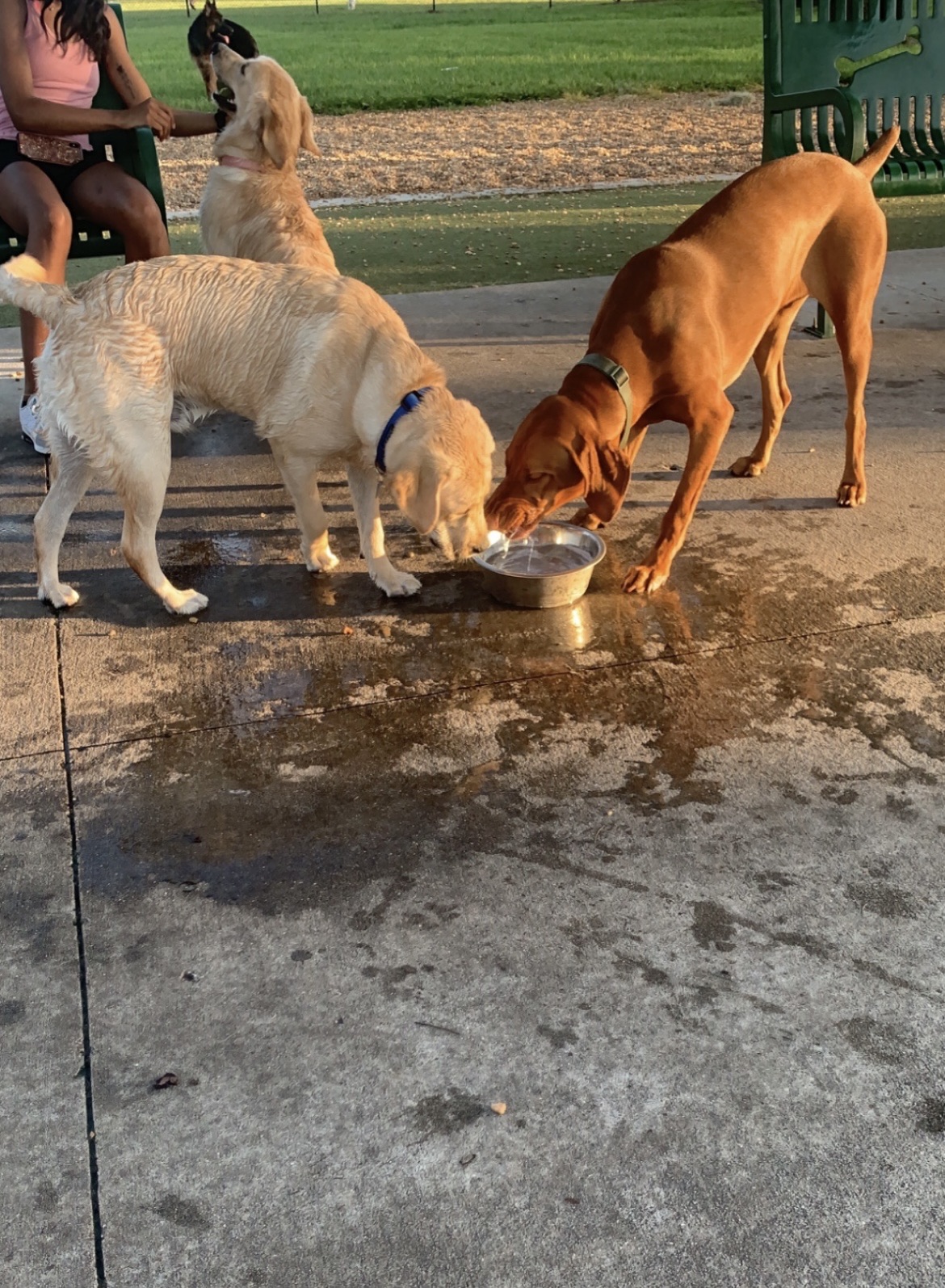 Bertha and Tony Saladino Park