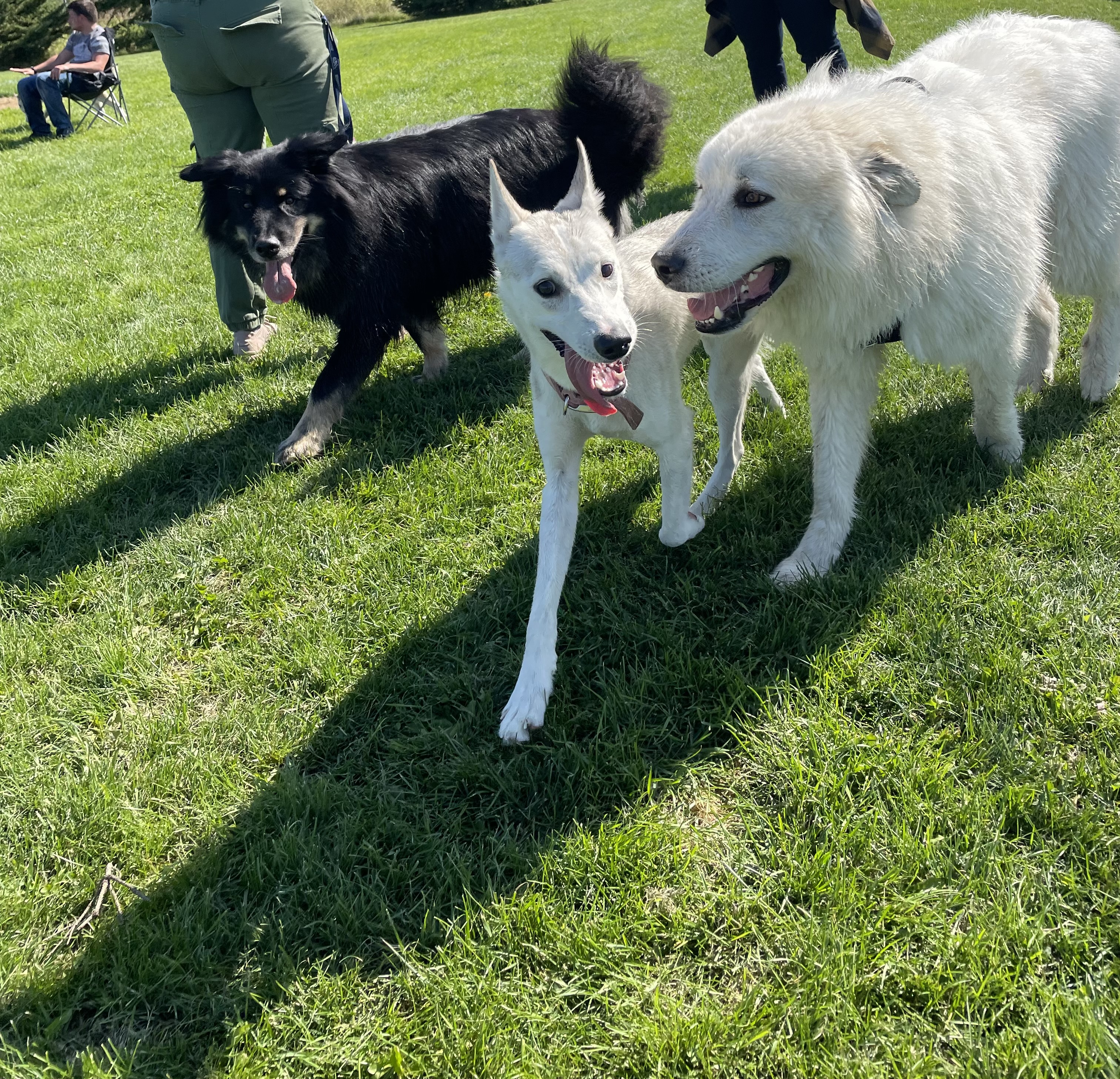 Terrain de Soccer Amos