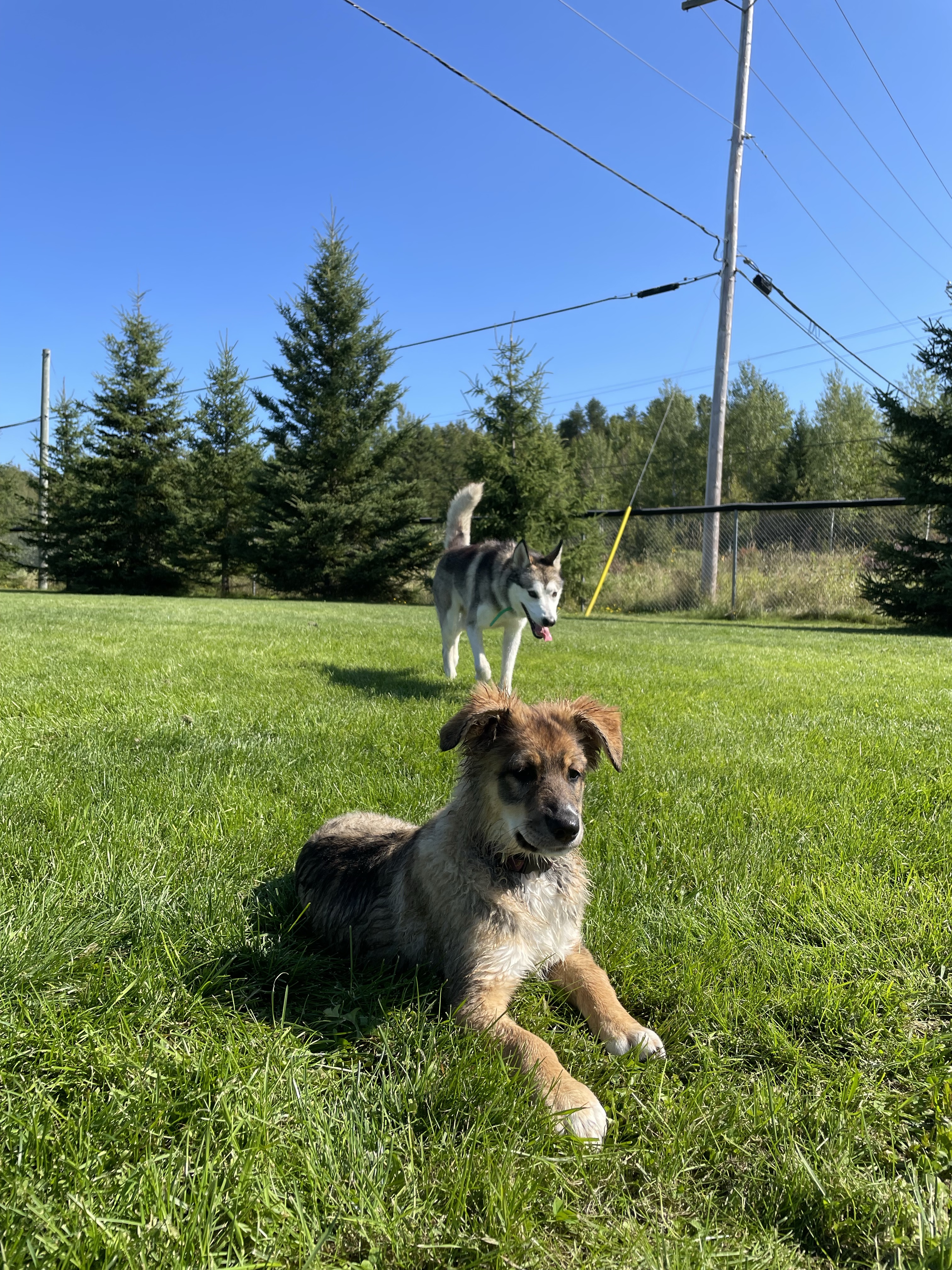 Terrain de Soccer Amos