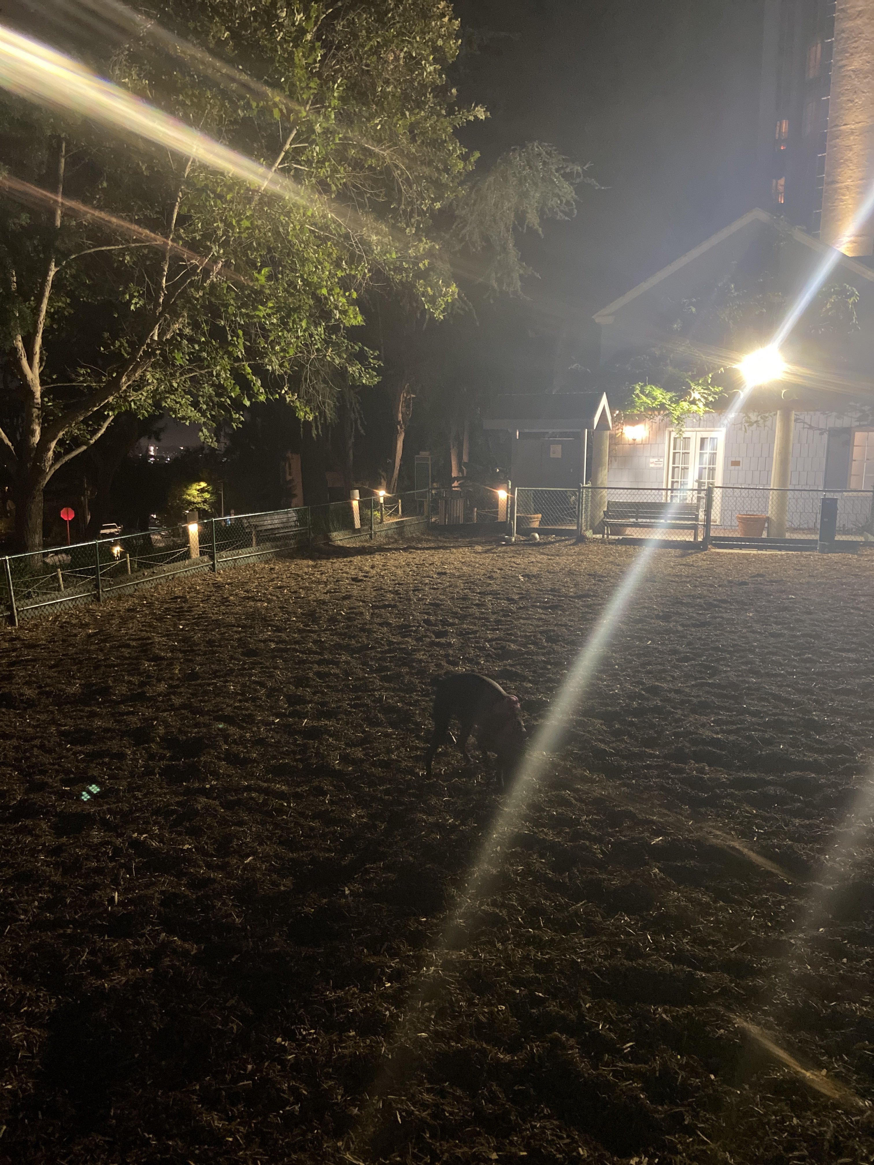 William S Hart Dog Park