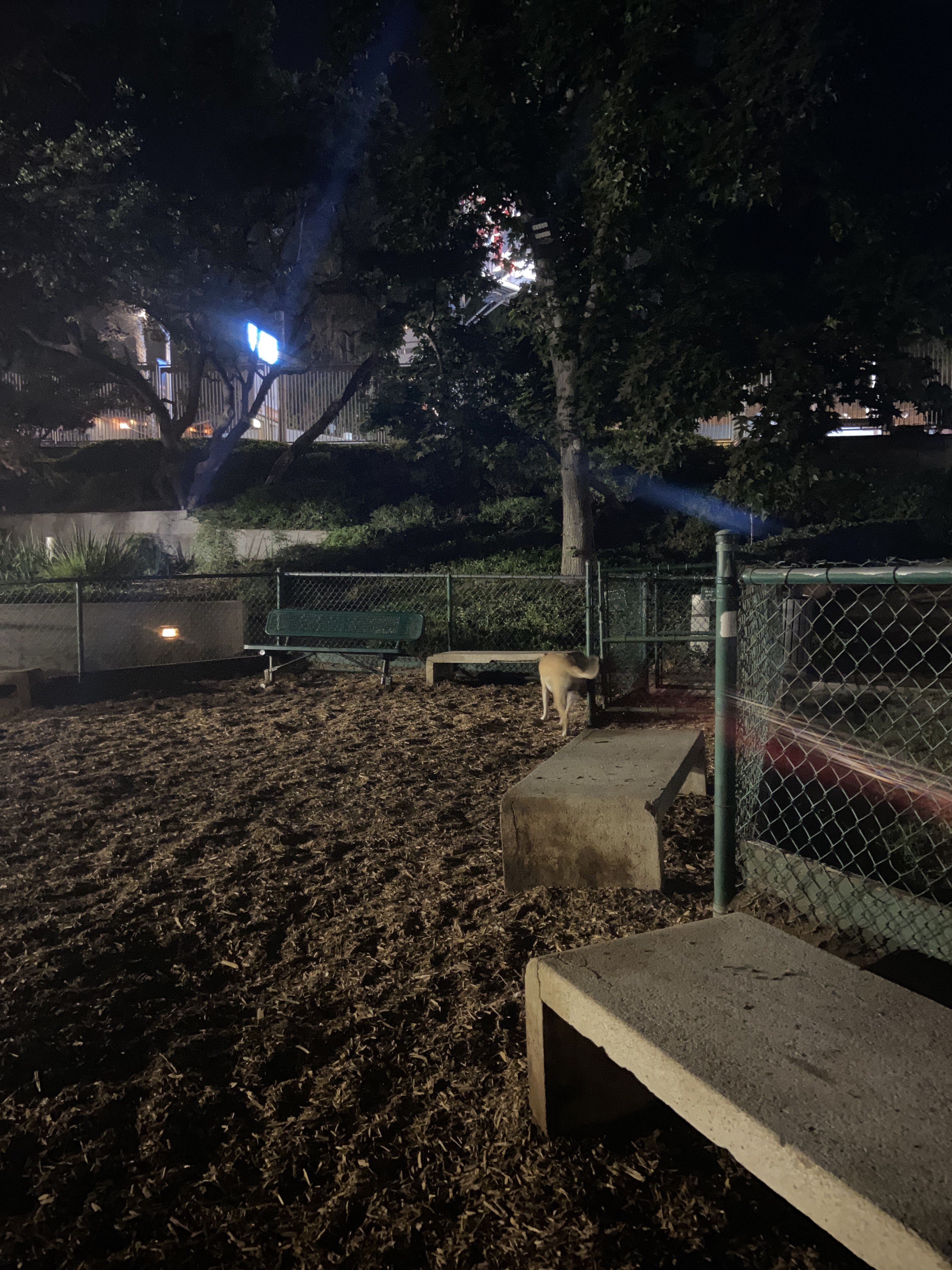 William S Hart Dog Park