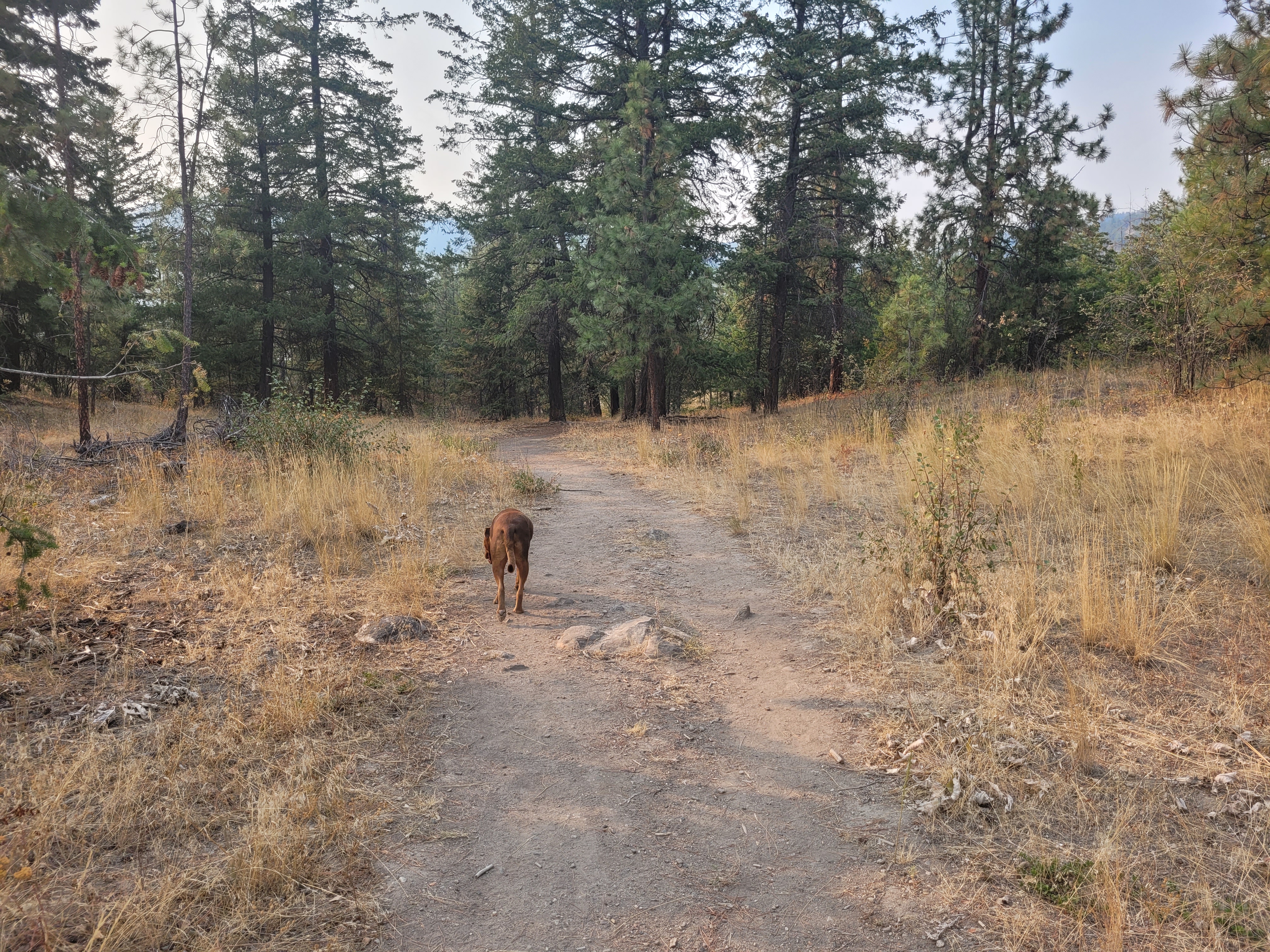 Marr Family Off Leash Area