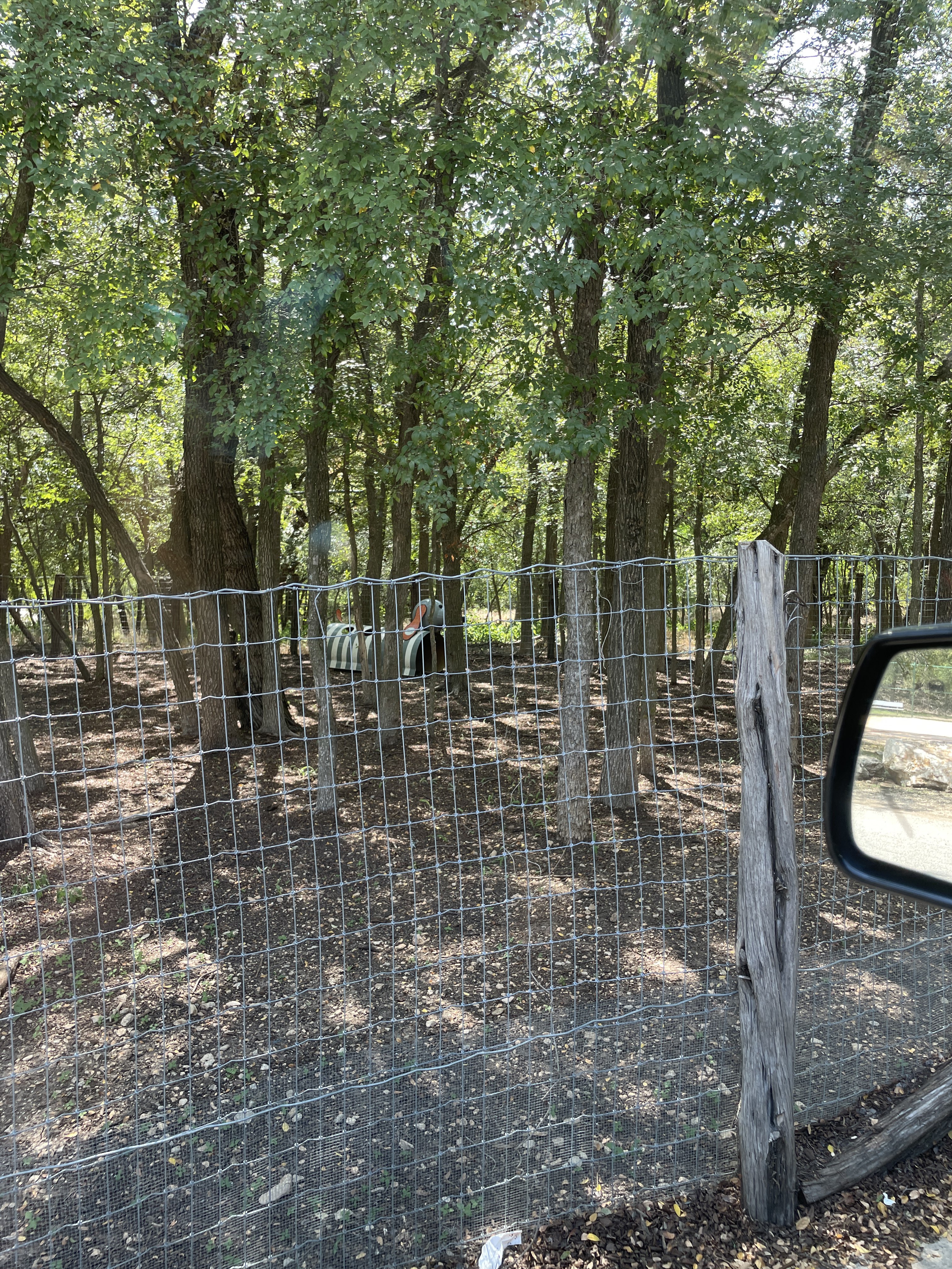 Lady Bird Johnson Dog Park