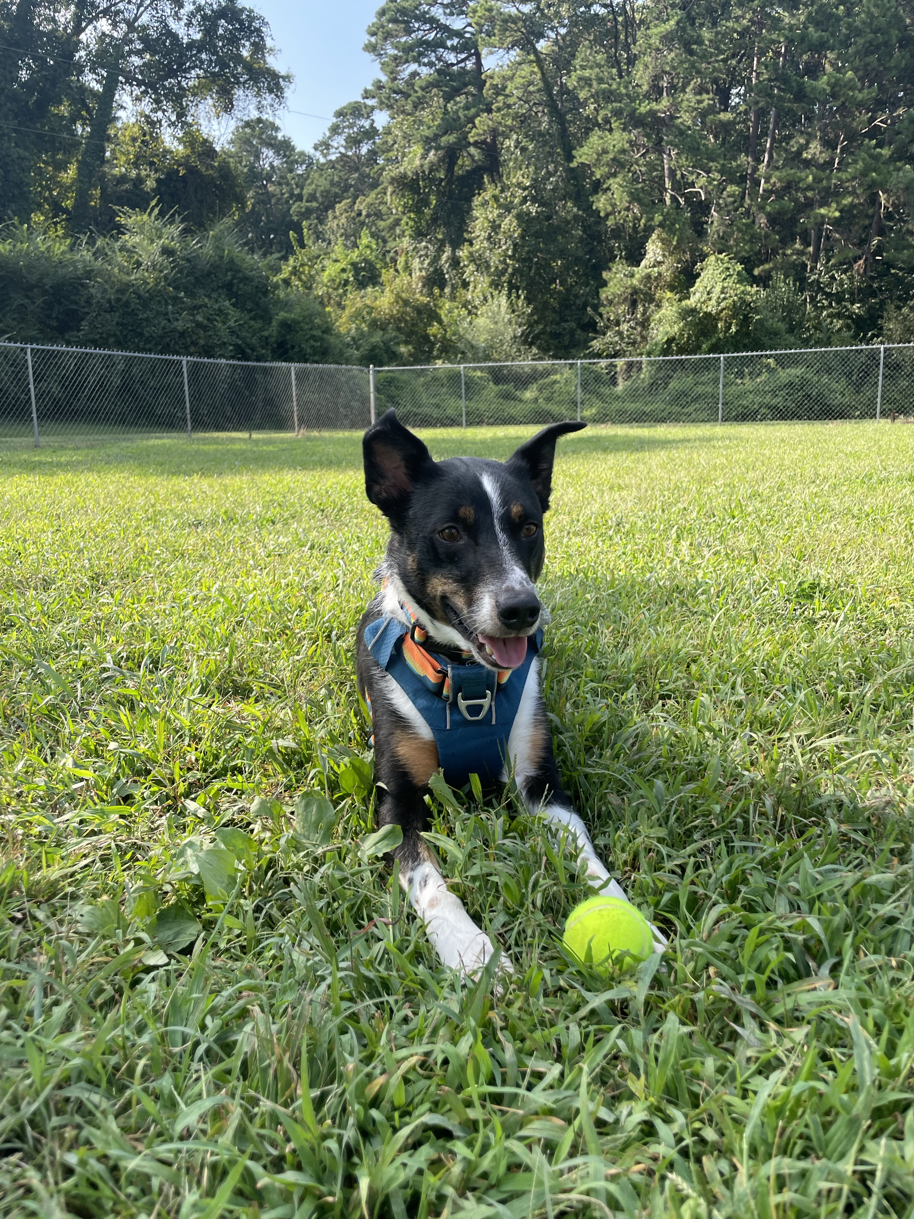 Gorman Crossing Dog Park
