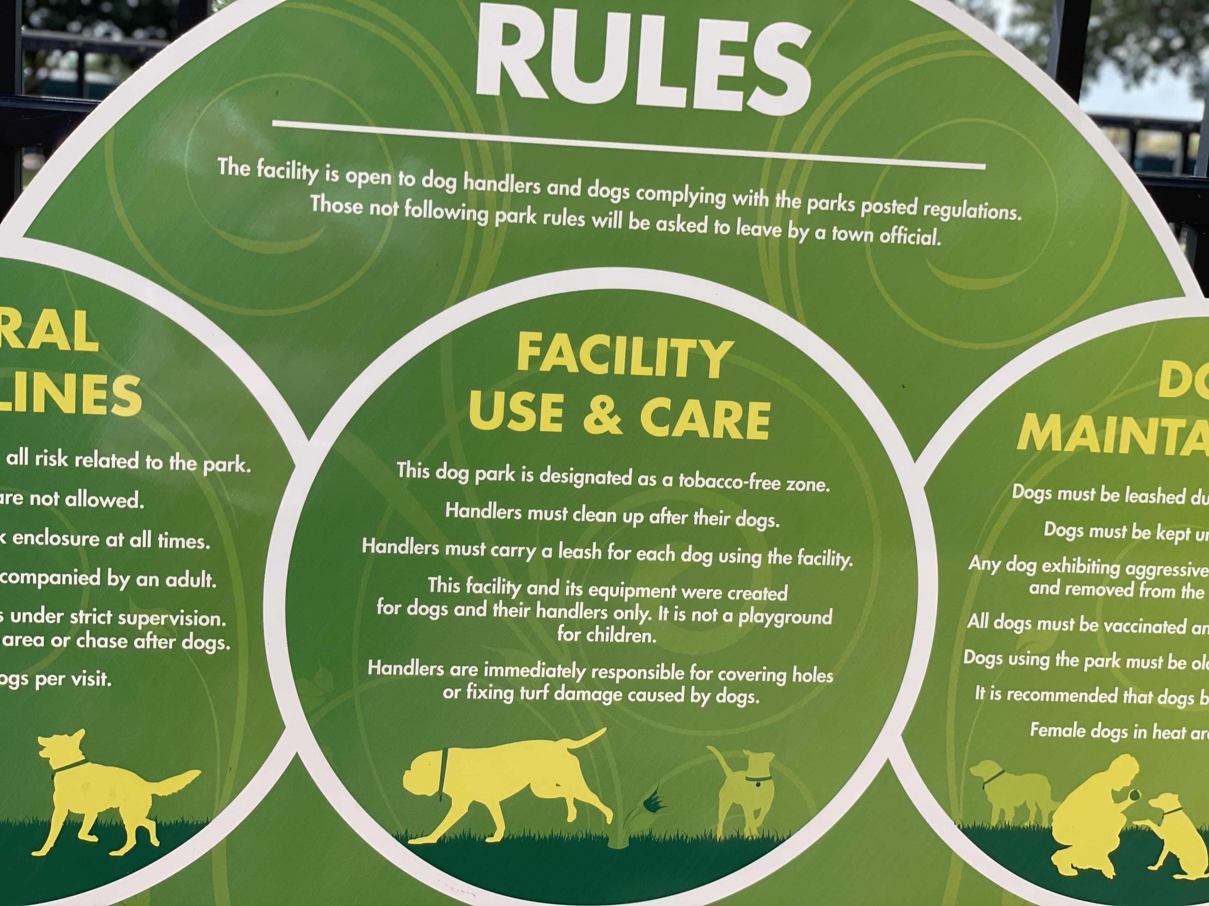 Pocket Park For Pups