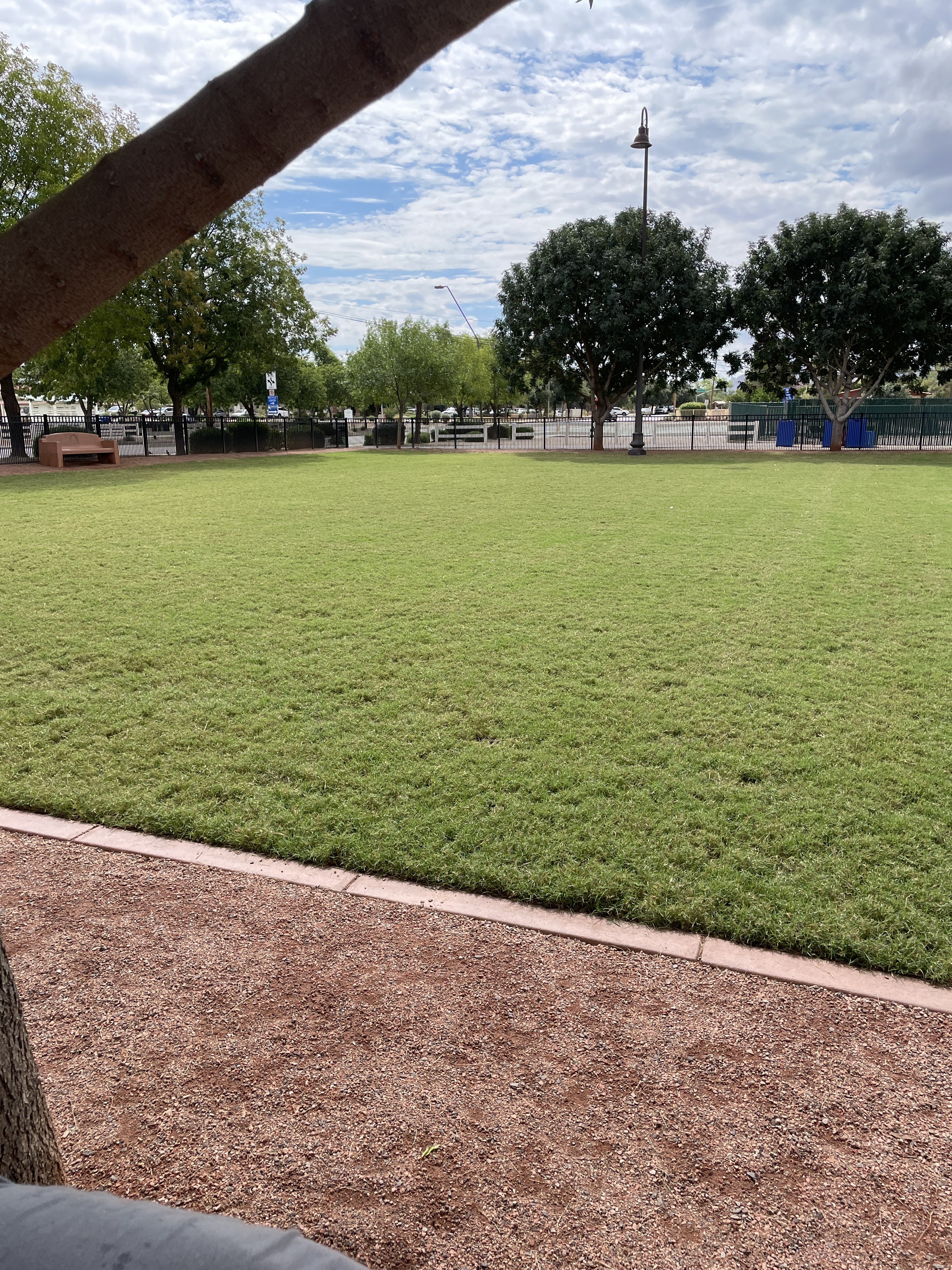 Pocket Park For Pups